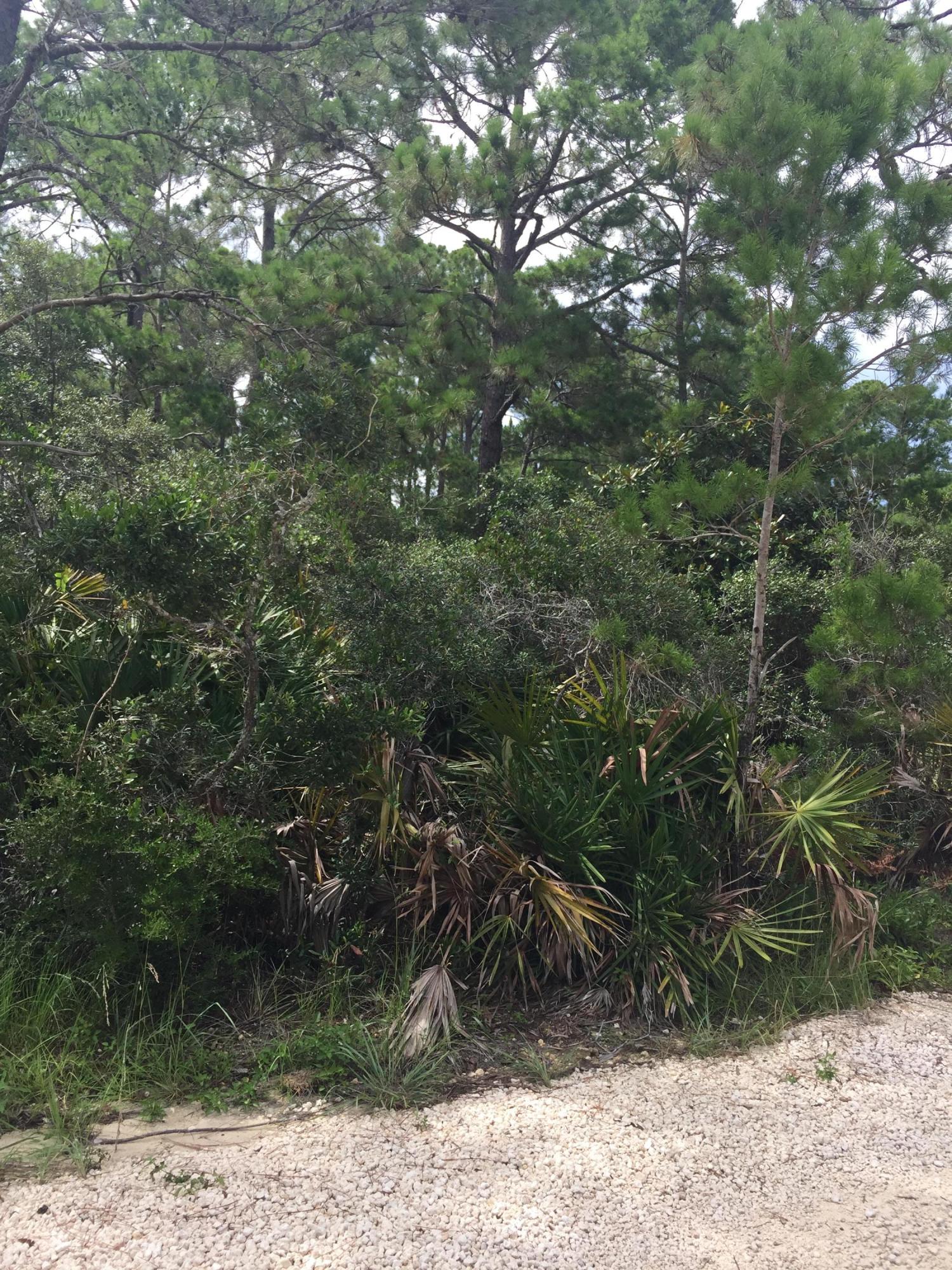 EASTERN LAKE ESTATES - Land