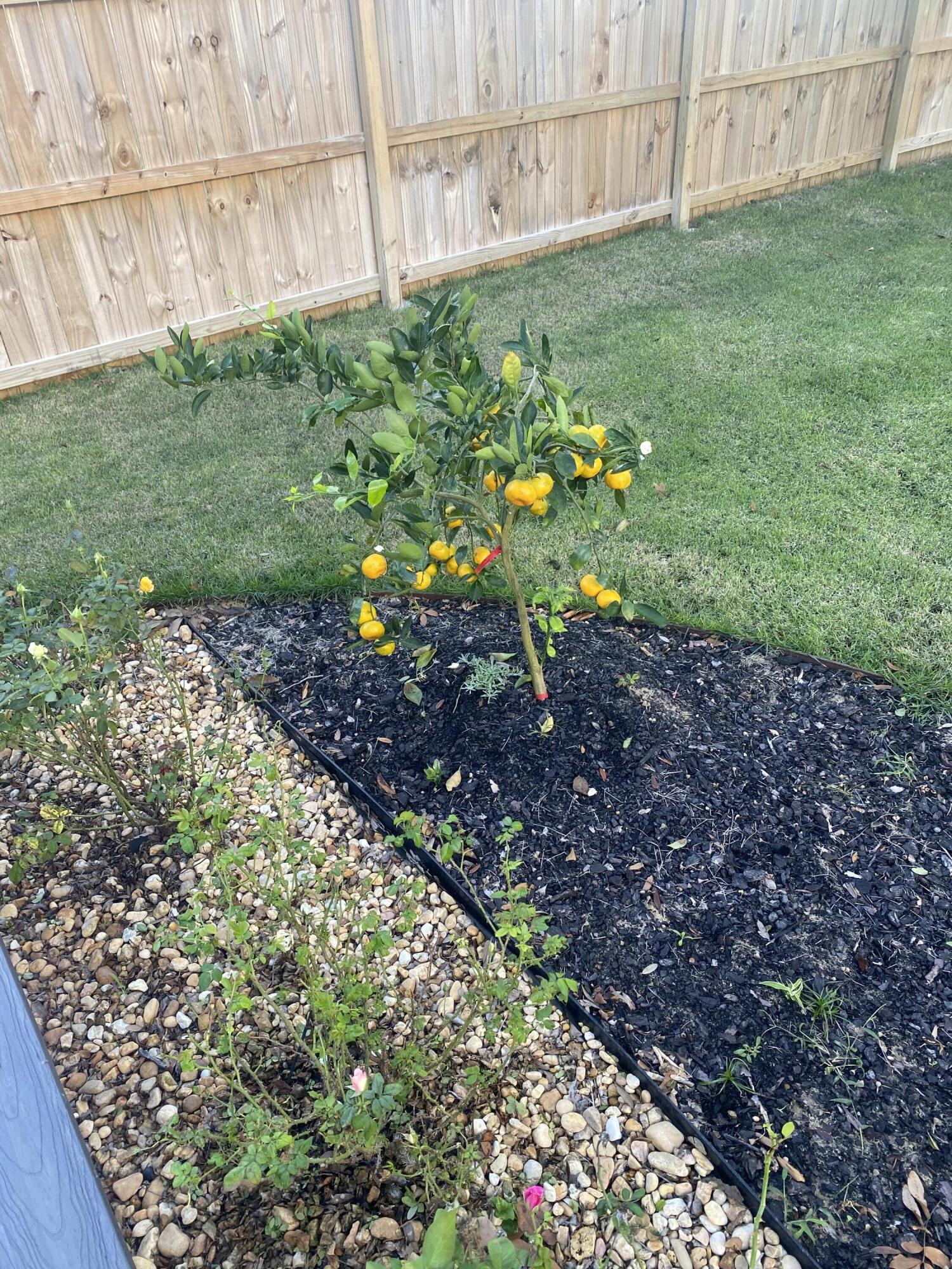 BAYVIEW - Residential