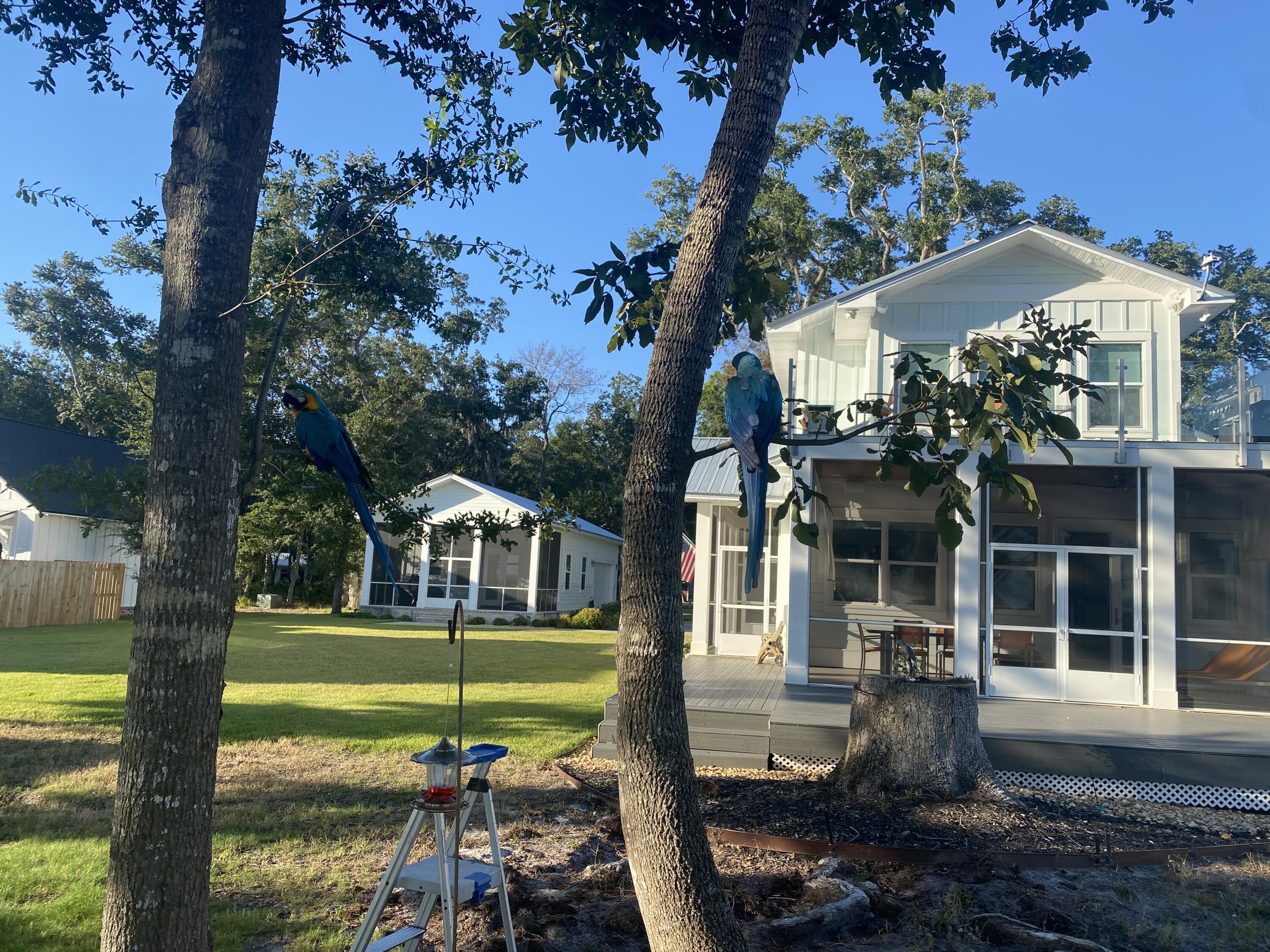 BAYVIEW - Residential