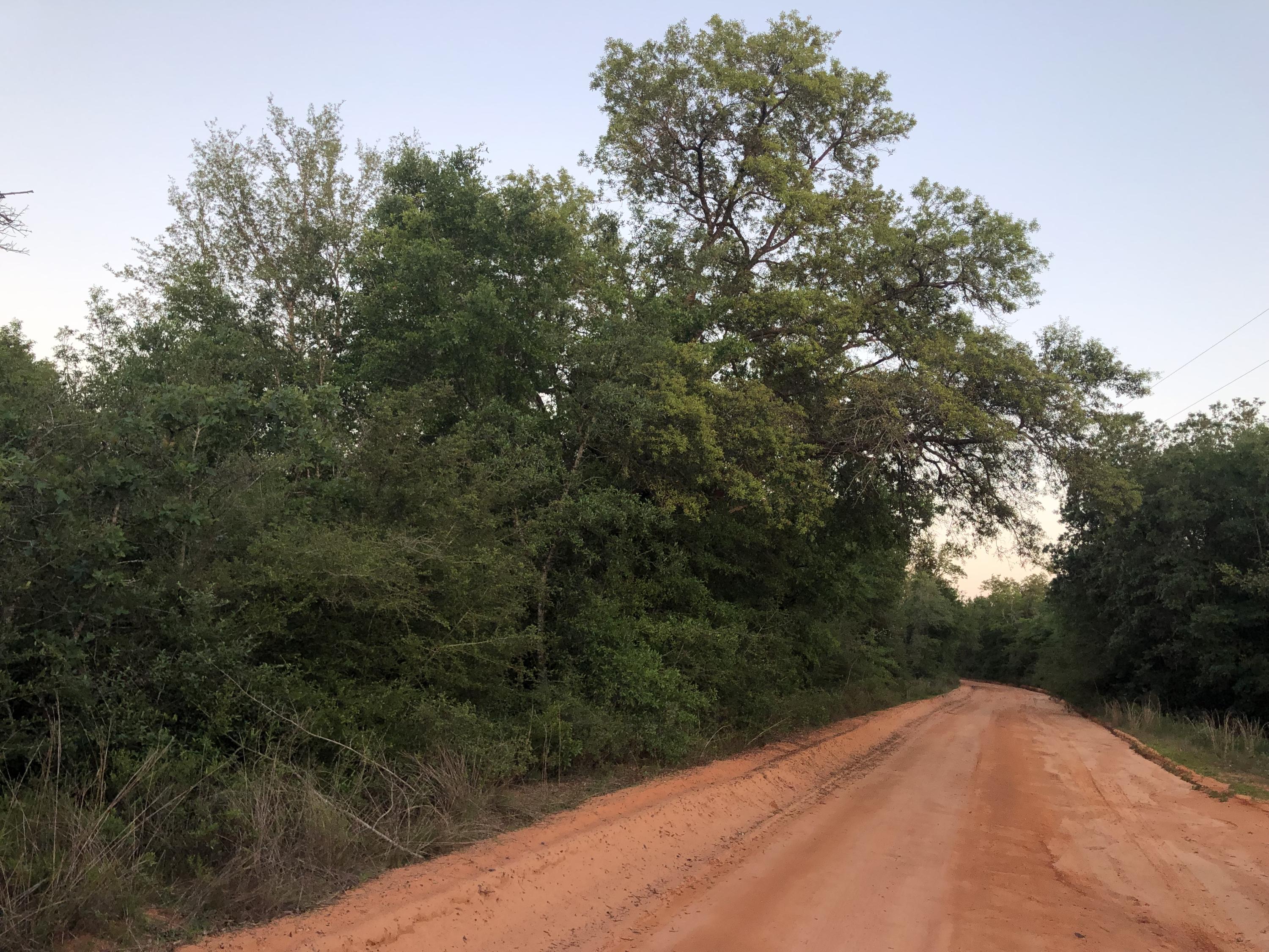 METES & BOUNDS - Land