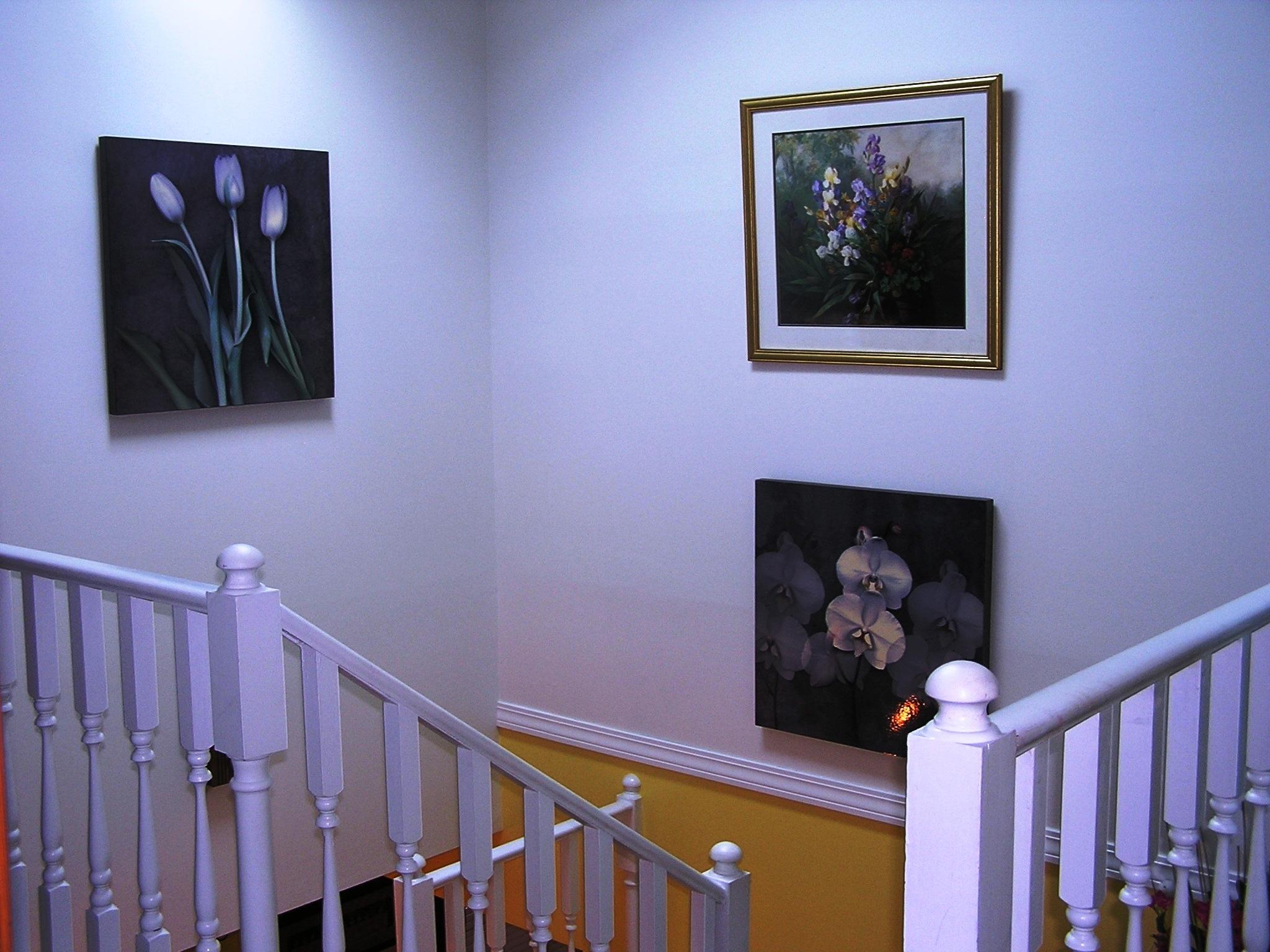 Caribbean Village East 1 - Residential