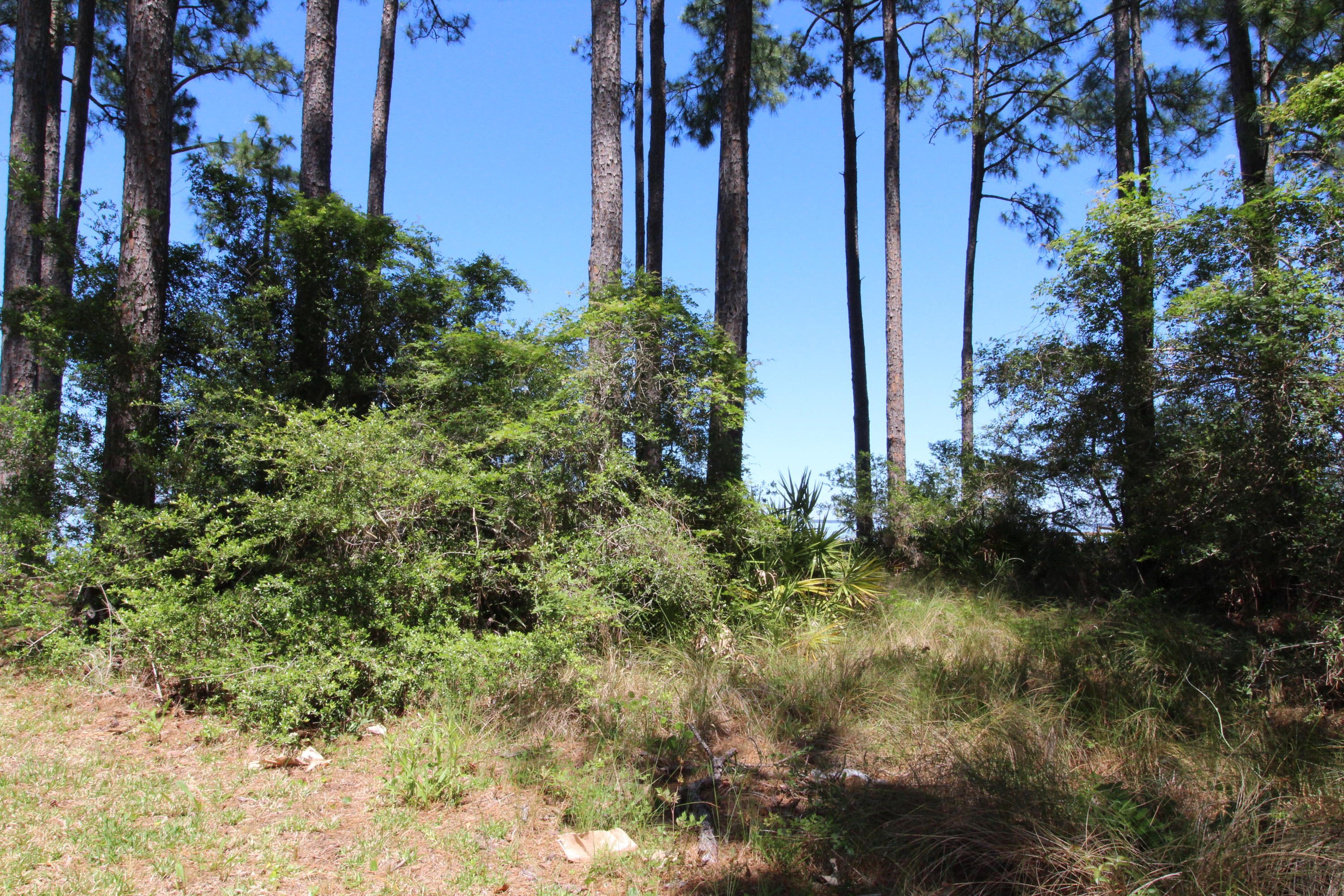 WHISPERING PINES S/D - Land