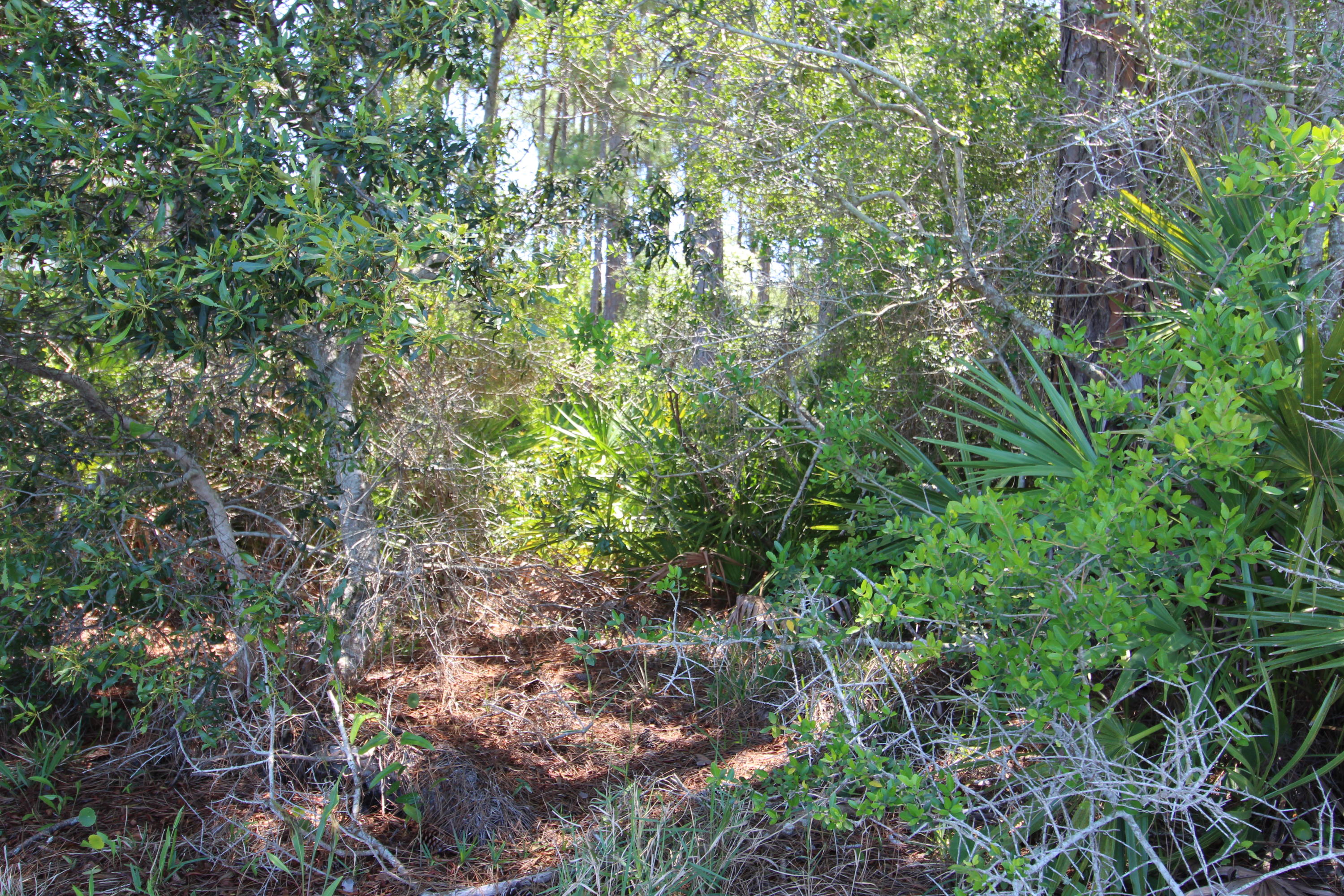 WHISPERING PINES S/D - Land