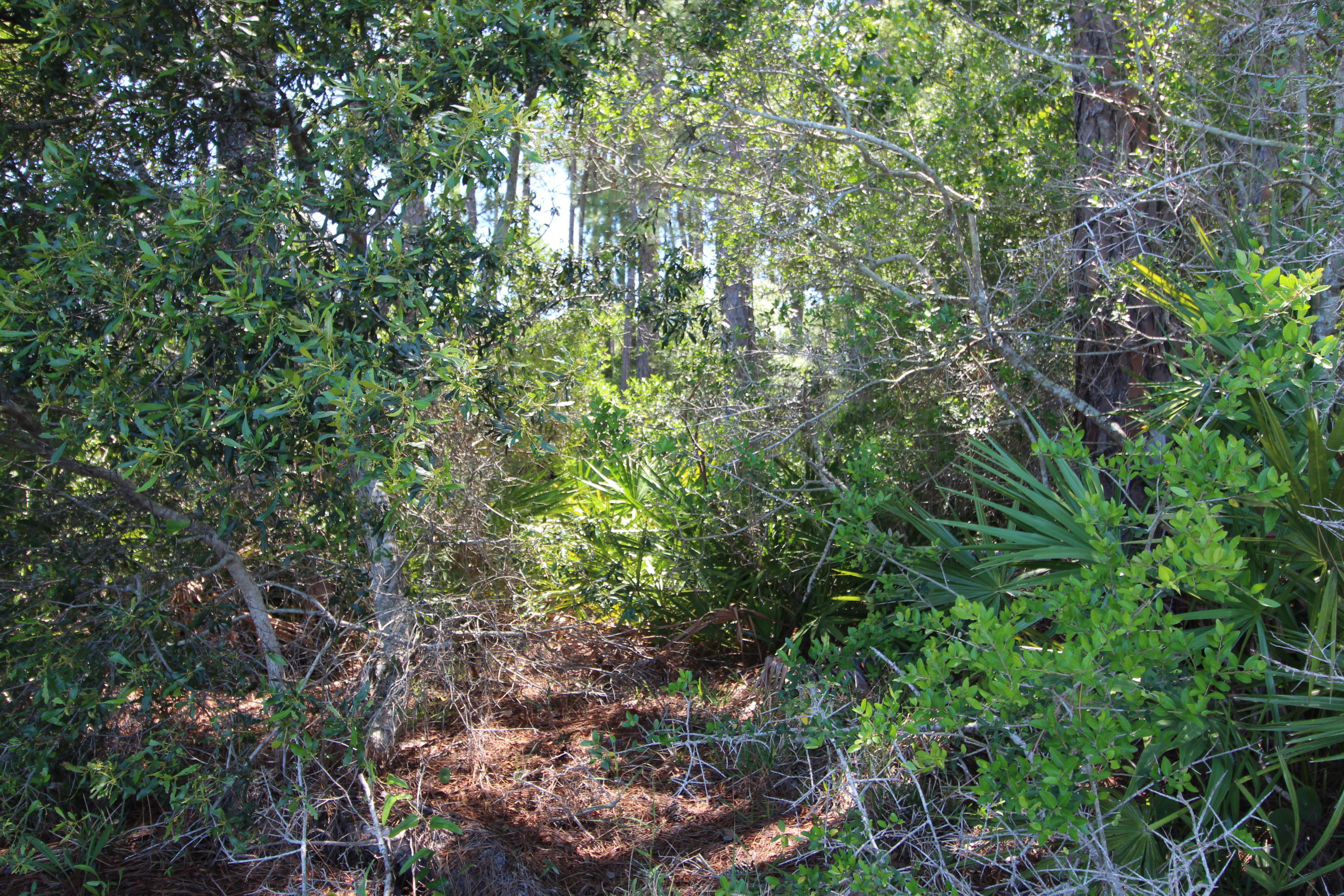 WHISPERING PINES S/D - Land