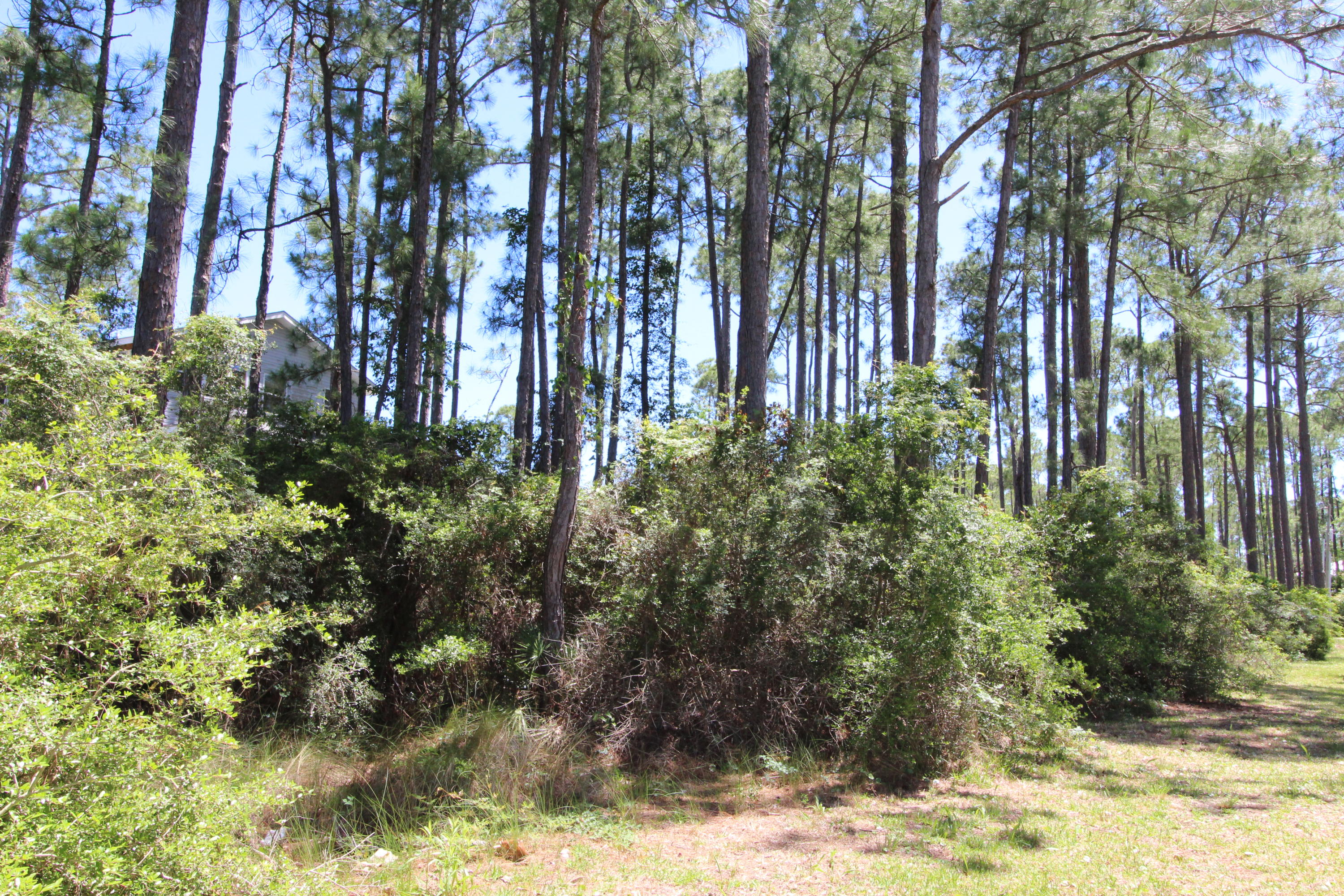 WHISPERING PINES S/D - Land