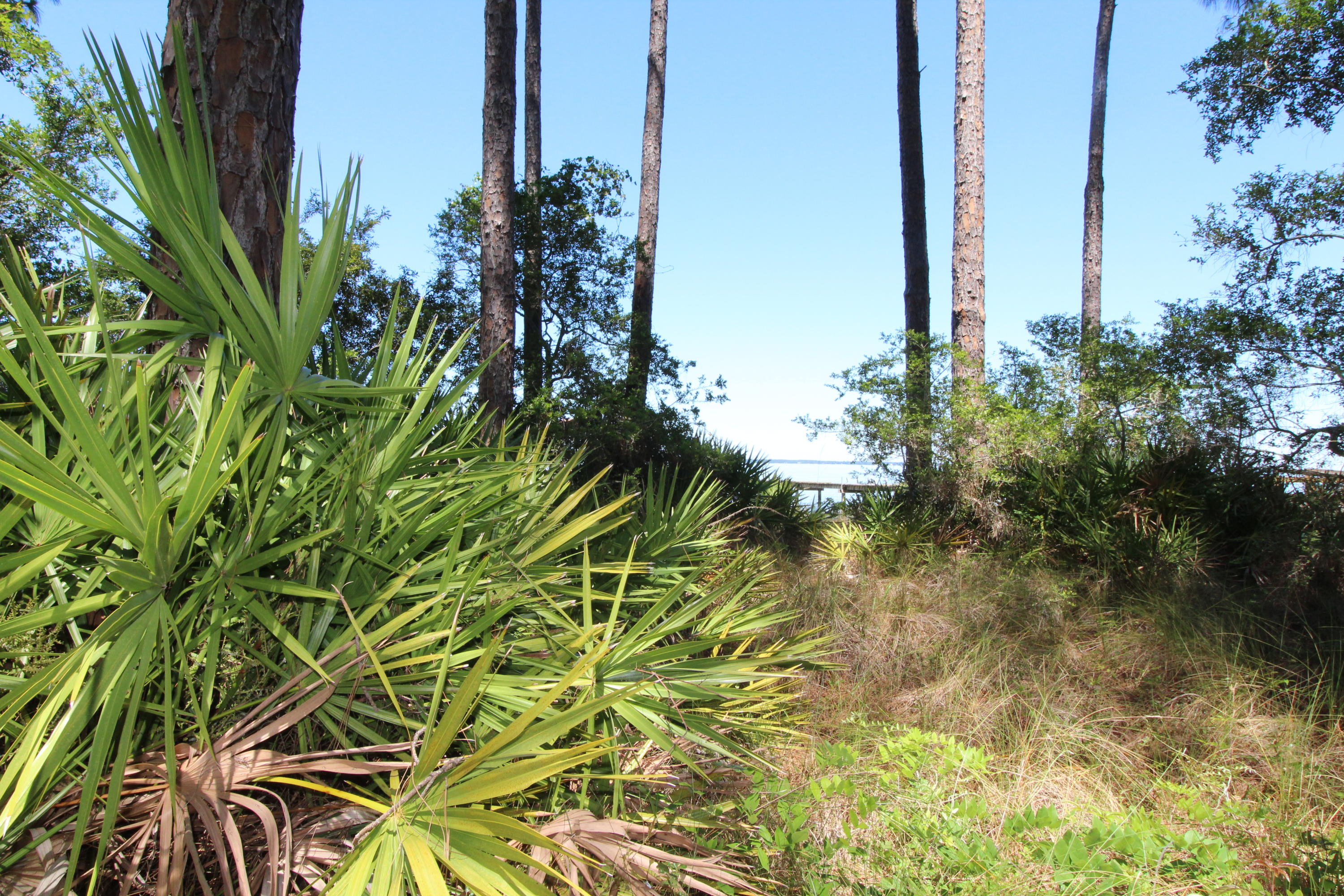 WHISPERING PINES S/D - Land