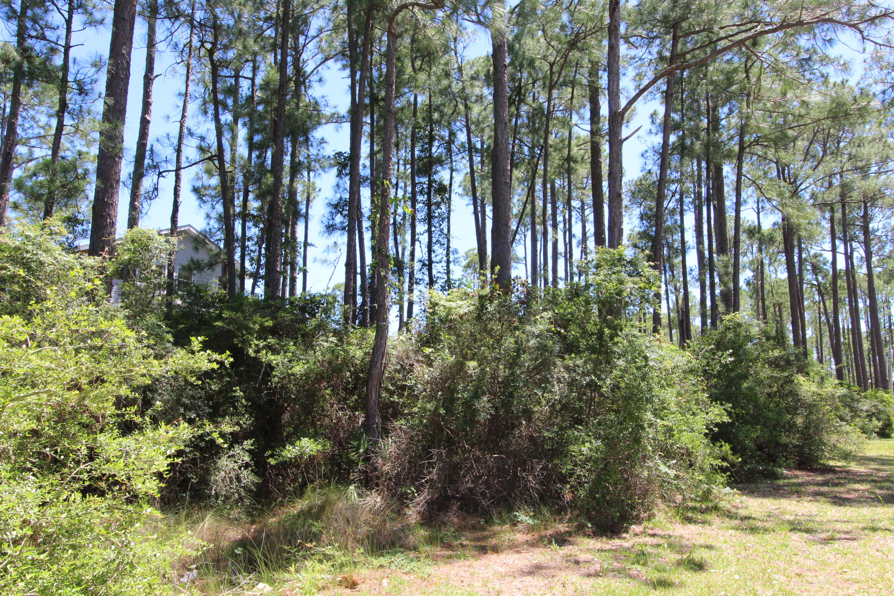 WHISPERING PINES S/D - Land