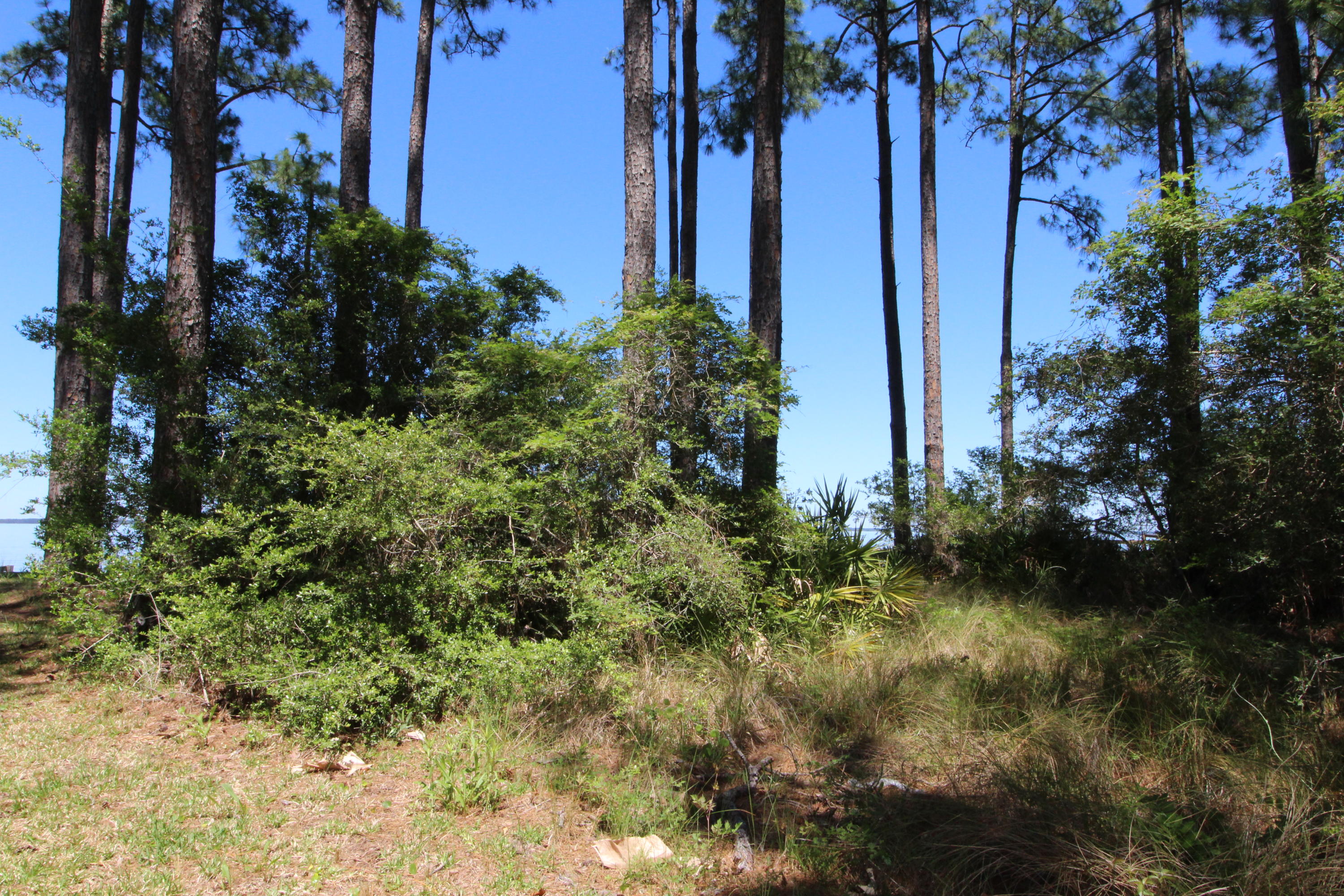 WHISPERING PINES S/D - Land