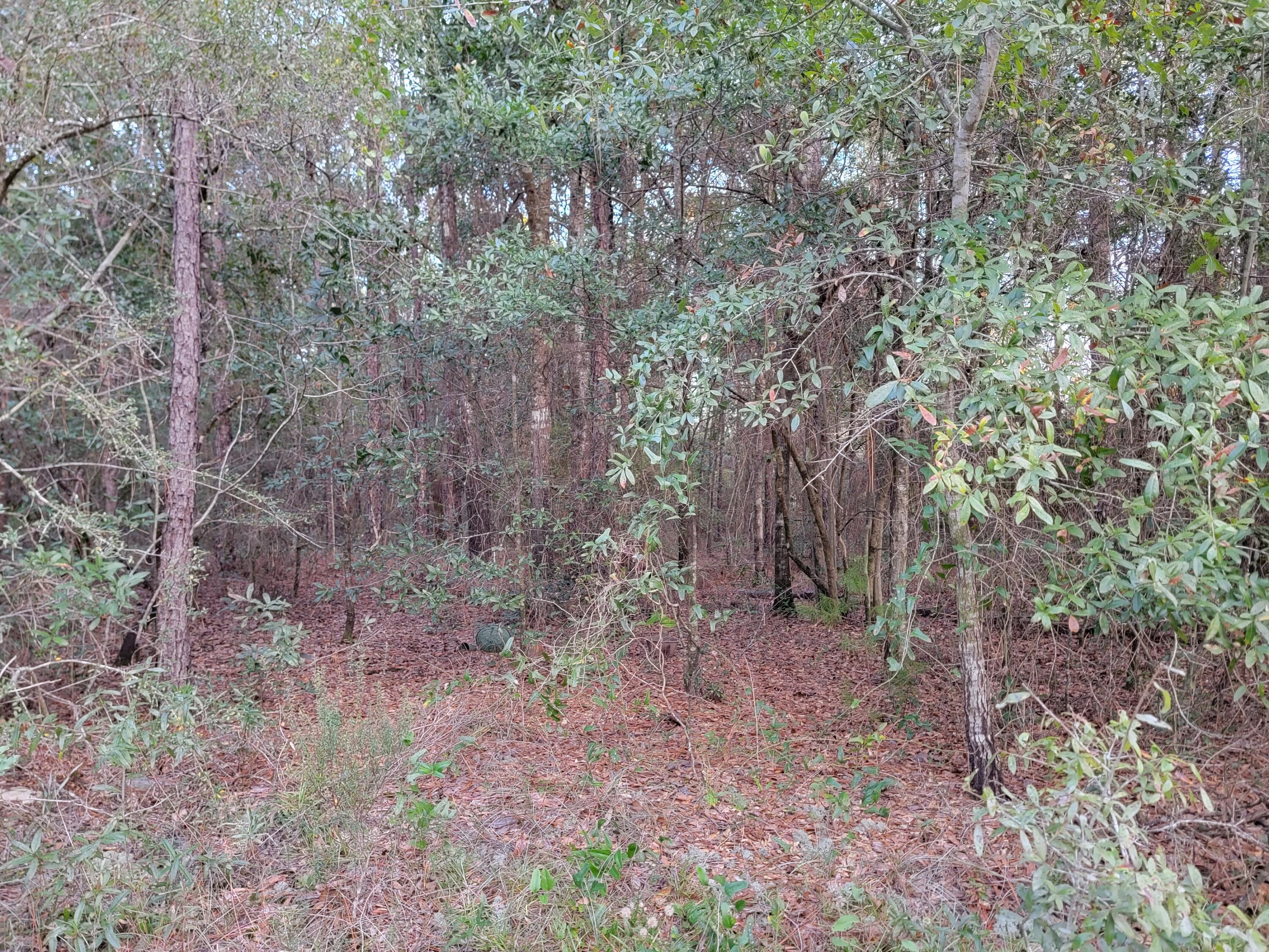 NORTH SUPERGROUP - Land