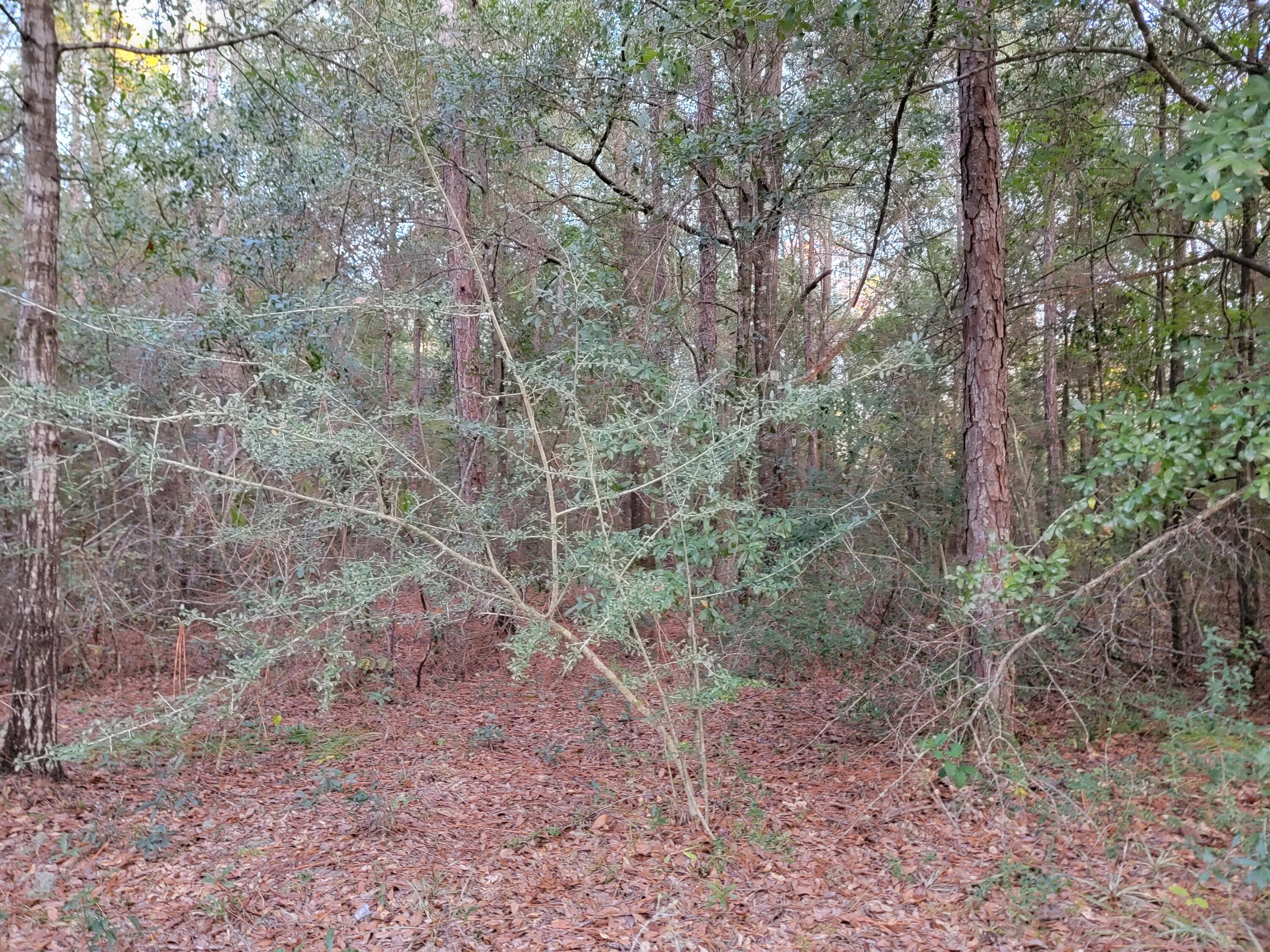 NORTH SUPERGROUP - Land