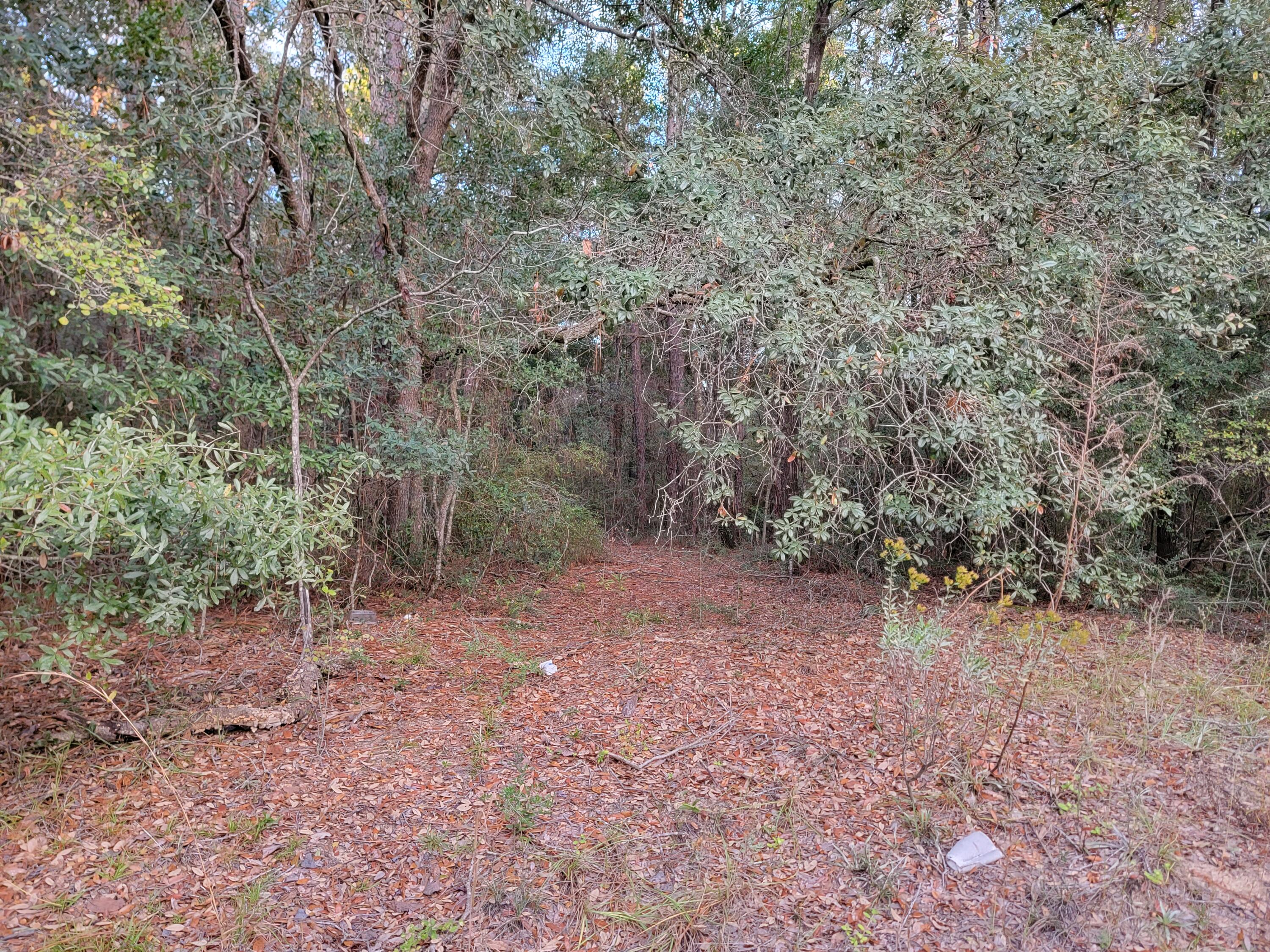 NORTH SUPERGROUP - Land