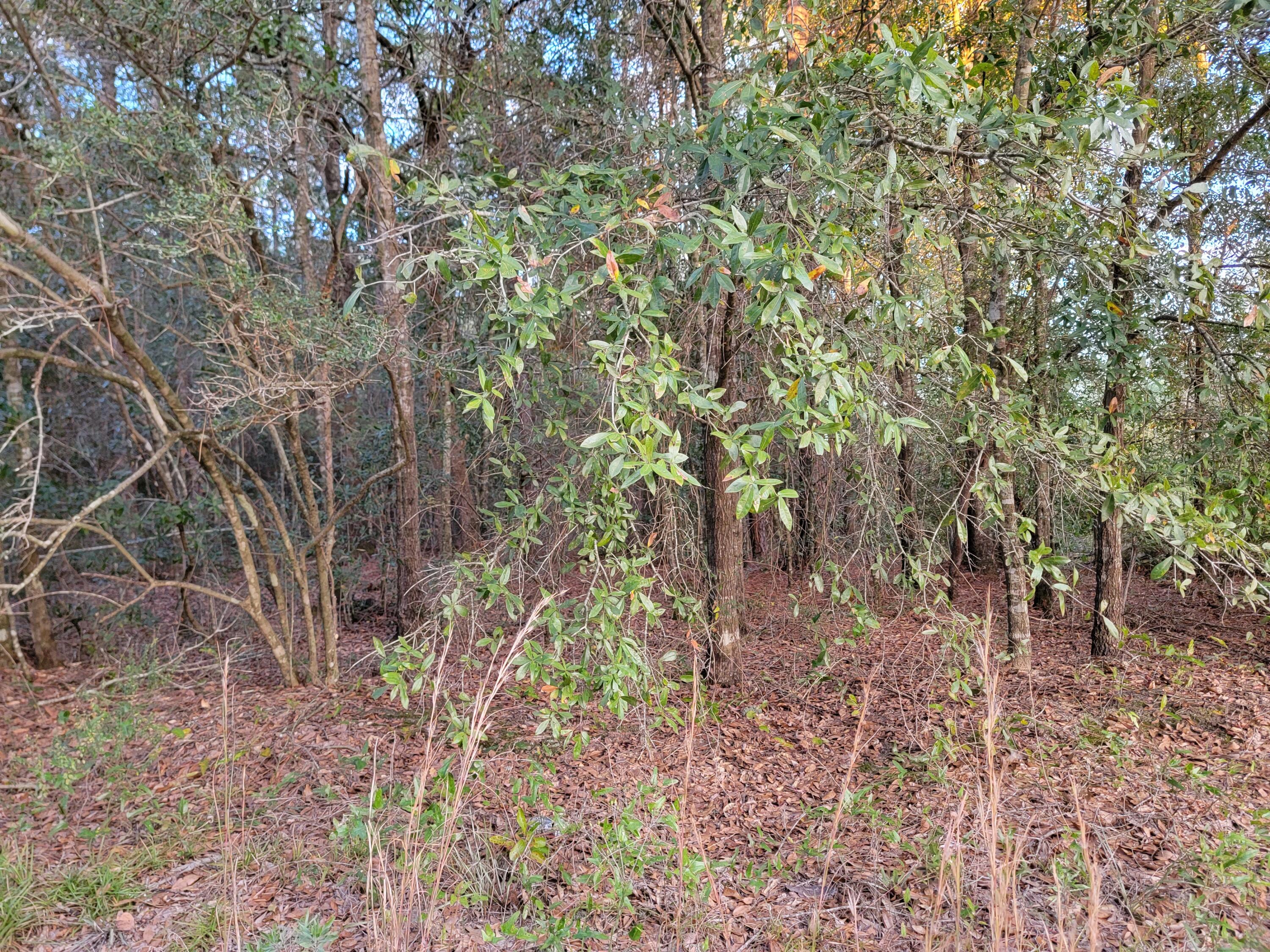 NORTH SUPERGROUP - Land