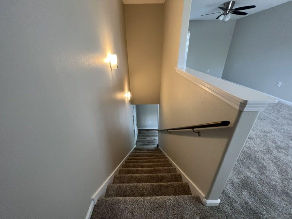 BRACKIN-PATCH EST - Residential