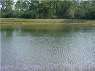 SELLER SAID REDUCE THE PRICE DRASTICALLY! PRIVACY AND BEAUTY IN THIS ALMOST 3 ACRE LAKEFRONT LOT, NOT FAR FROM TOWN, BEAUTIFUL SITE FOR PERMANENT HOMESITE OR WEEKEND RETREAT, GENTLE SLOPE TO THE LAKE WITH ALMOST 200' ON THE LAKE, BUILD YOUR OWN DOCK TO ENJOY FISHING OR JUST ENJOYING THE WILDLIFE, NICELY WOODED,DRIVE BY AND SEE TODAY!