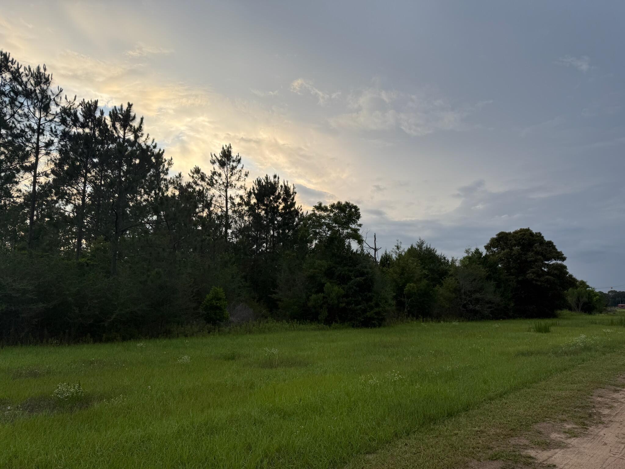 Nestled in the heart of city limits, this 2.49 acre lot offers endless possibilities. Schedule your showing today.