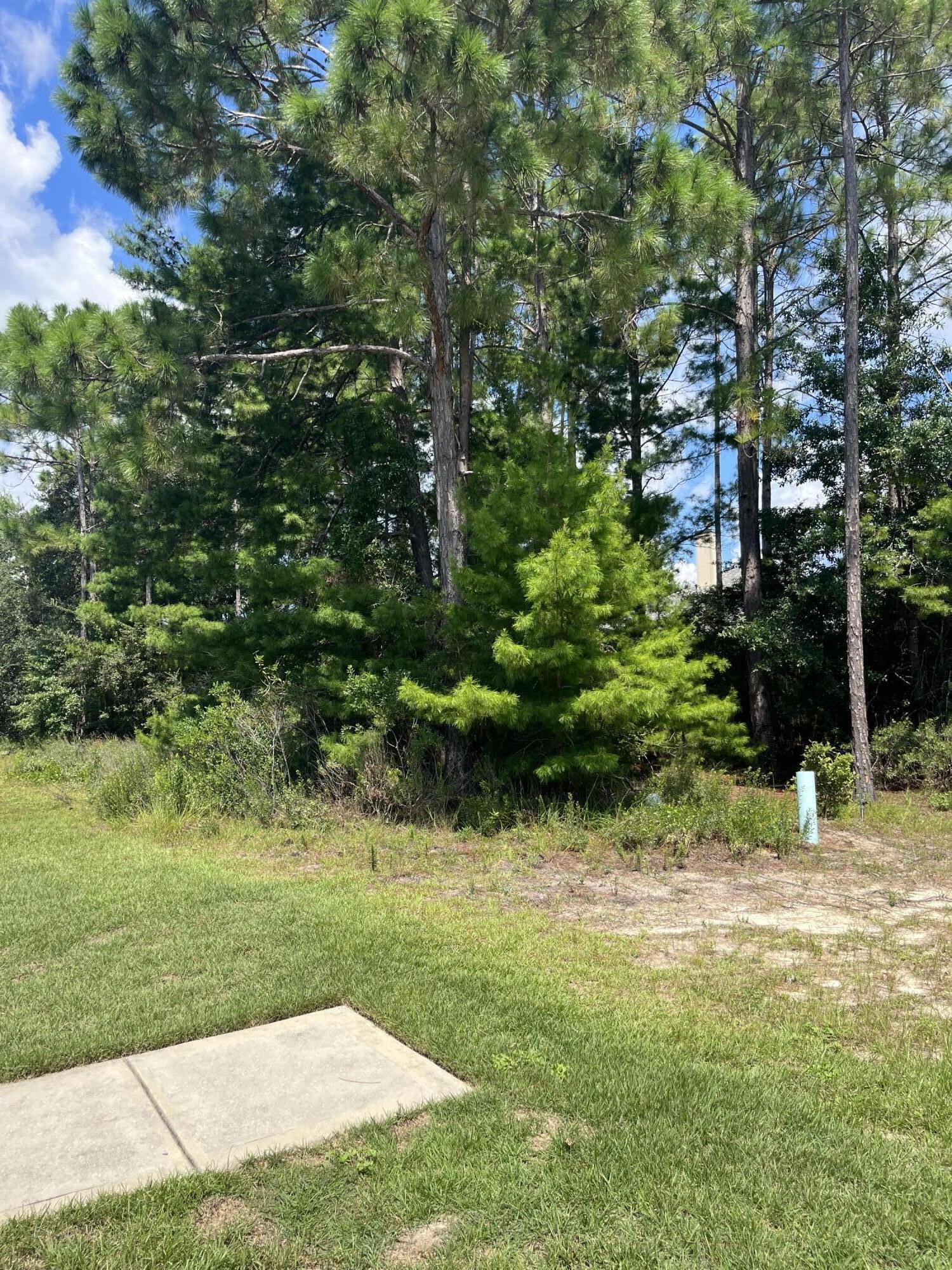 HAMMOCK BAY - Land