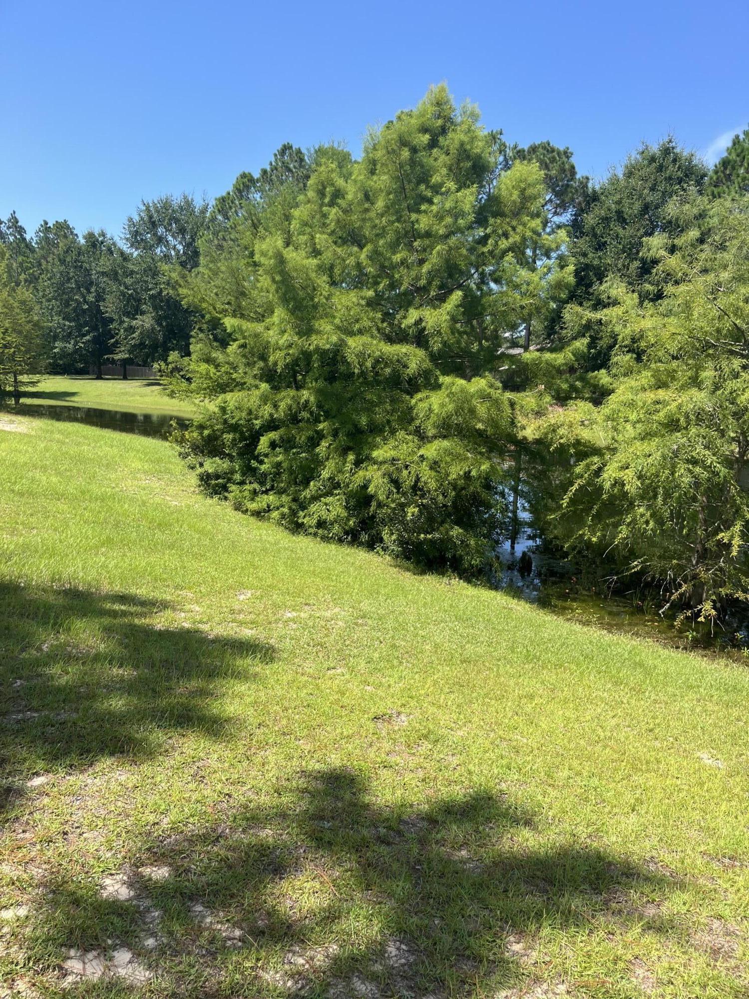 HAMMOCK BAY - Land