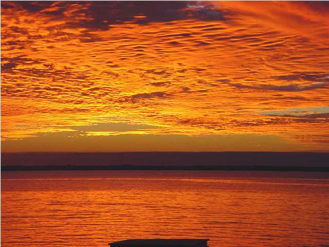 BAY GROVE - Residential