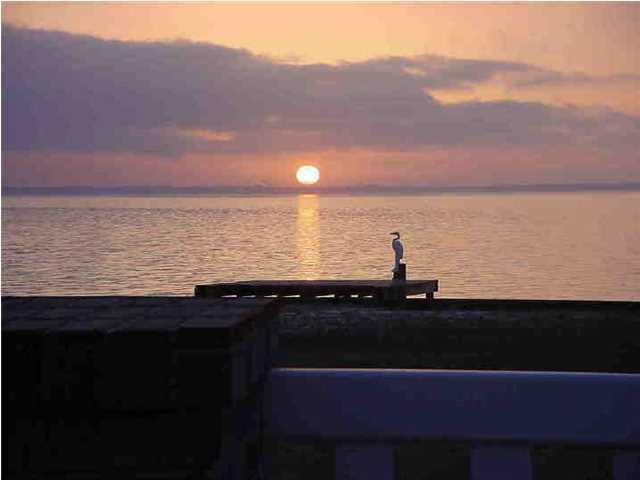 BAY GROVE - Residential