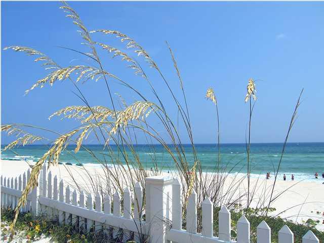 One Twenty Five Crystal Beach Drive - Residential