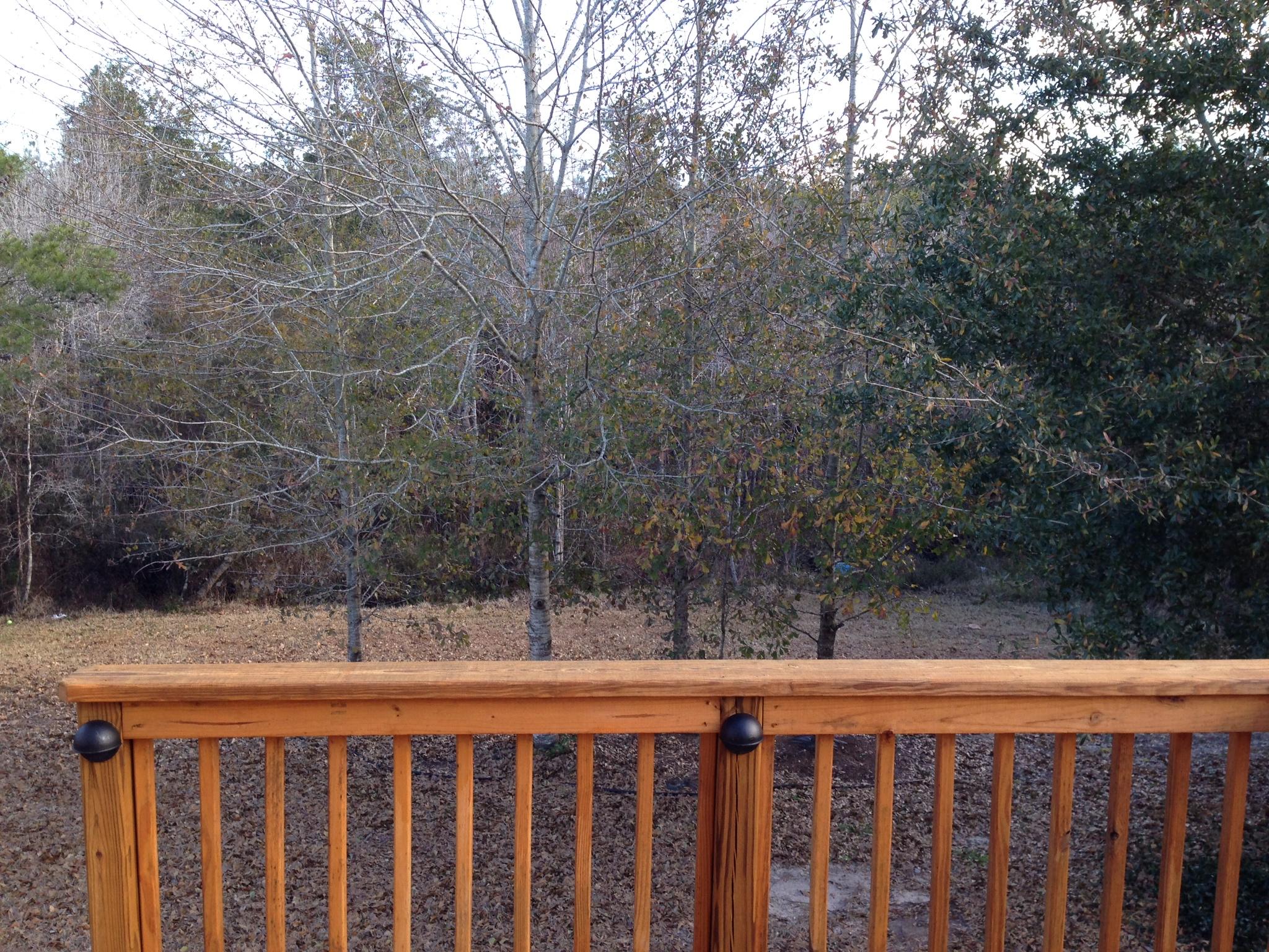 SANDY RIDGE - Residential Lease