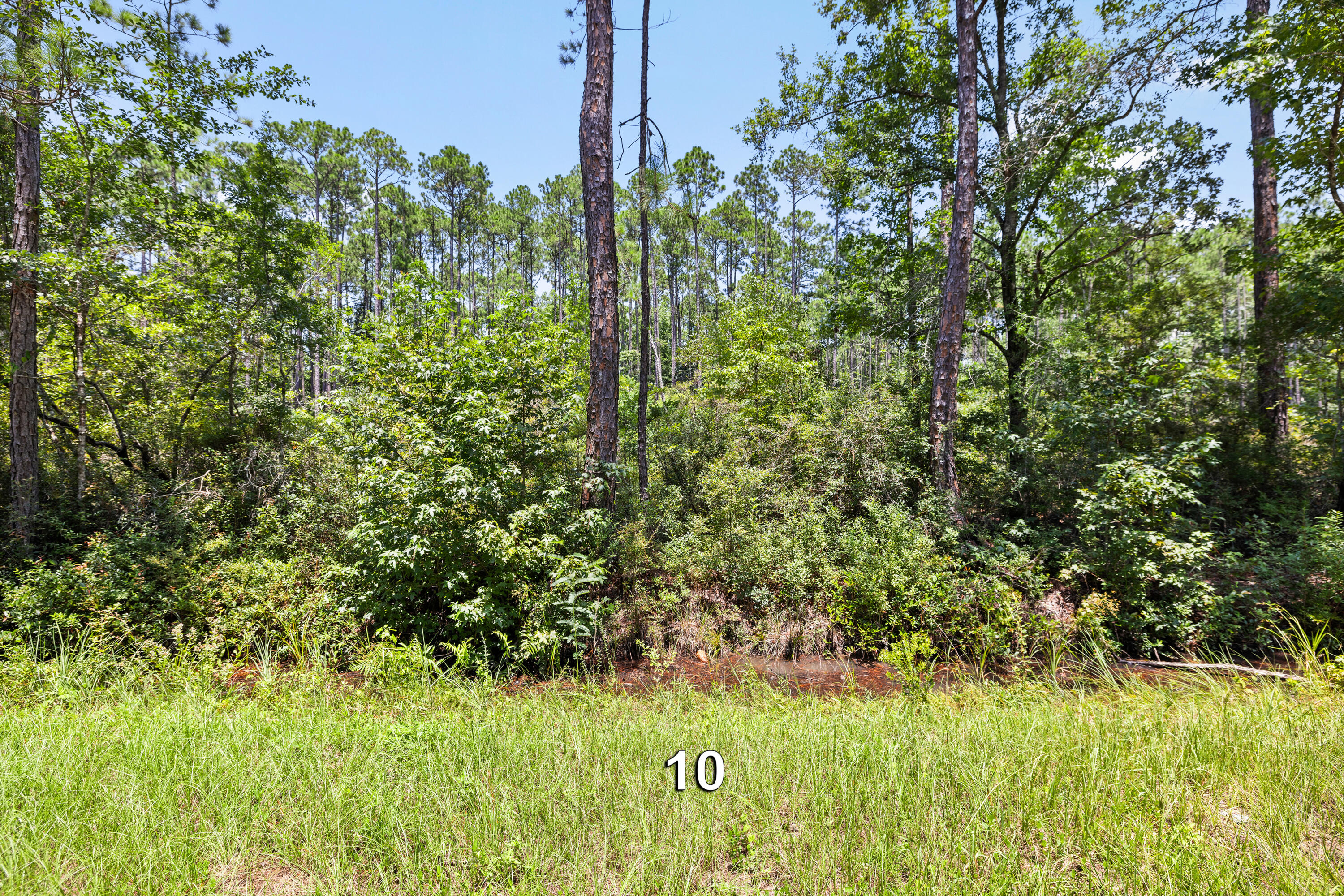 MALLET PINES UNREC - Land