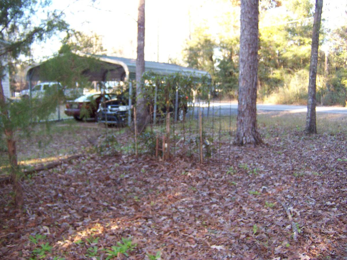 PIPERS LANDING S/D - Residential