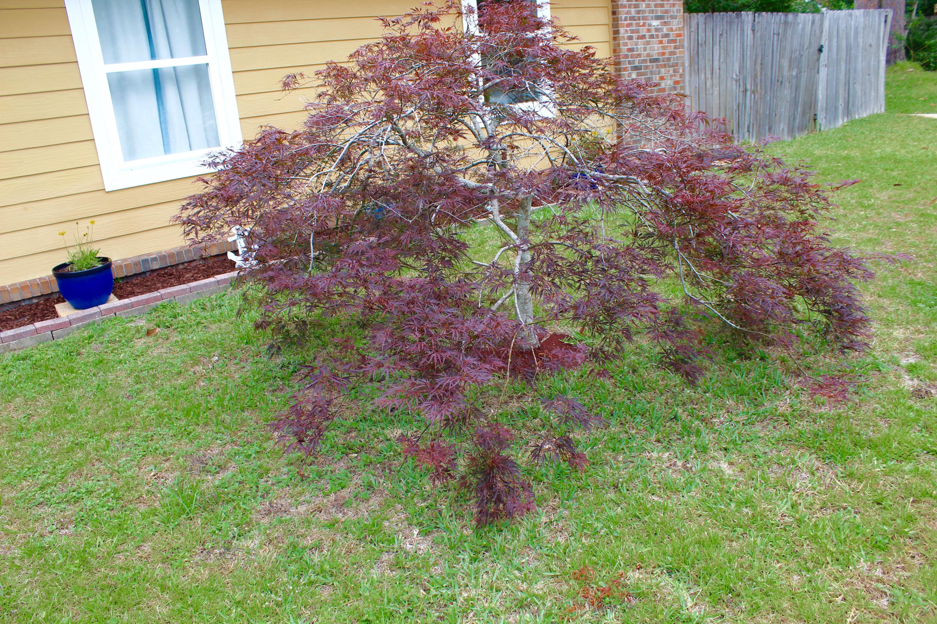 PINE MEADOWS - Residential