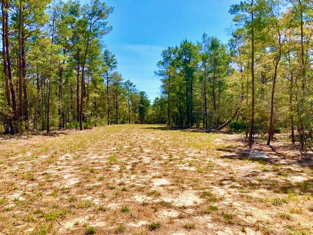 THIS IS IT -- THE 5 ACRE PARCEL YOU HAVE BEEN LOOKING FOR!  Level and wooded rectangular lot has a wide grassy access drive that leads to a nice big clearing, perfect for your new home. This lot is located in close proximity to the Mossy Head Water District headquarters and features a power line and a water line along South Drive in front of the property. (Tap fee is due and power pole and septic tank are needed on property).  You won't find a more perfect 5 acres in North Walton County!