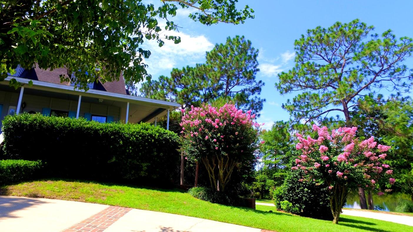 LAKESIDE EAST - Residential