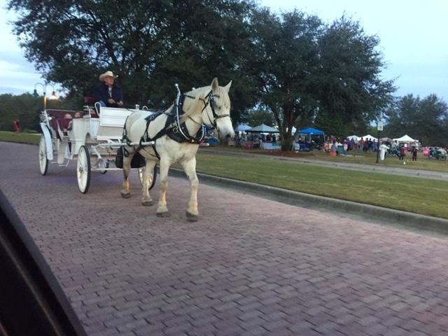 HAMMOCK BAY - Residential