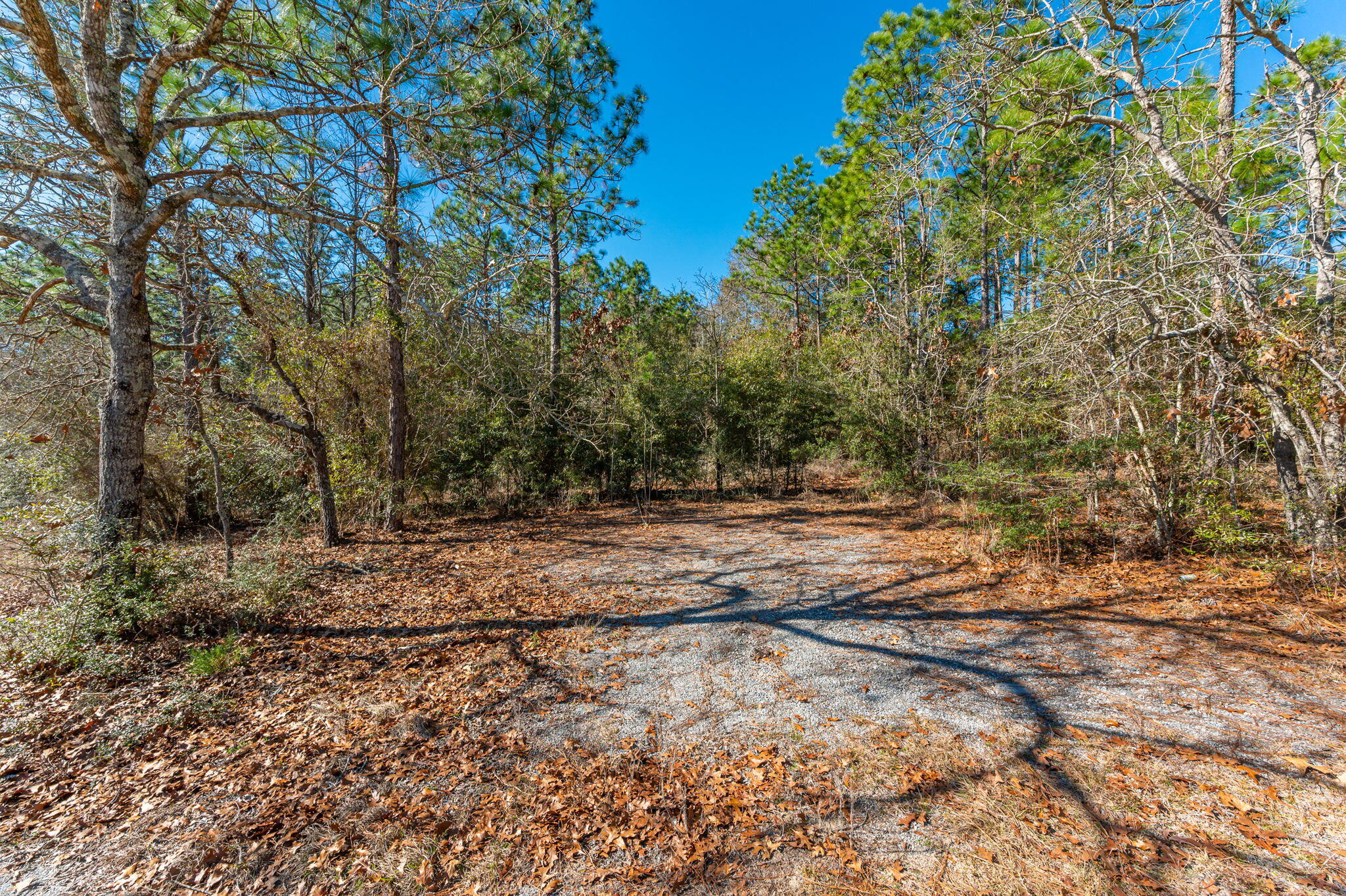 KENNEDY LAKE (UNRECORDED) - Land