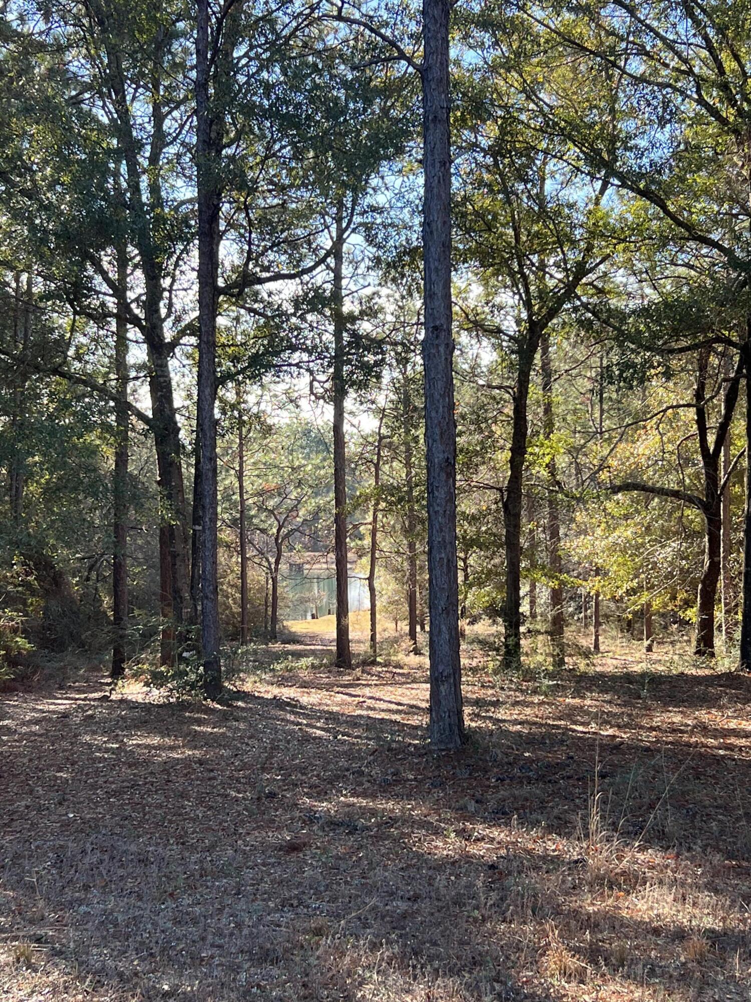 KENNEDY LAKE (UNRECORDED) - Land