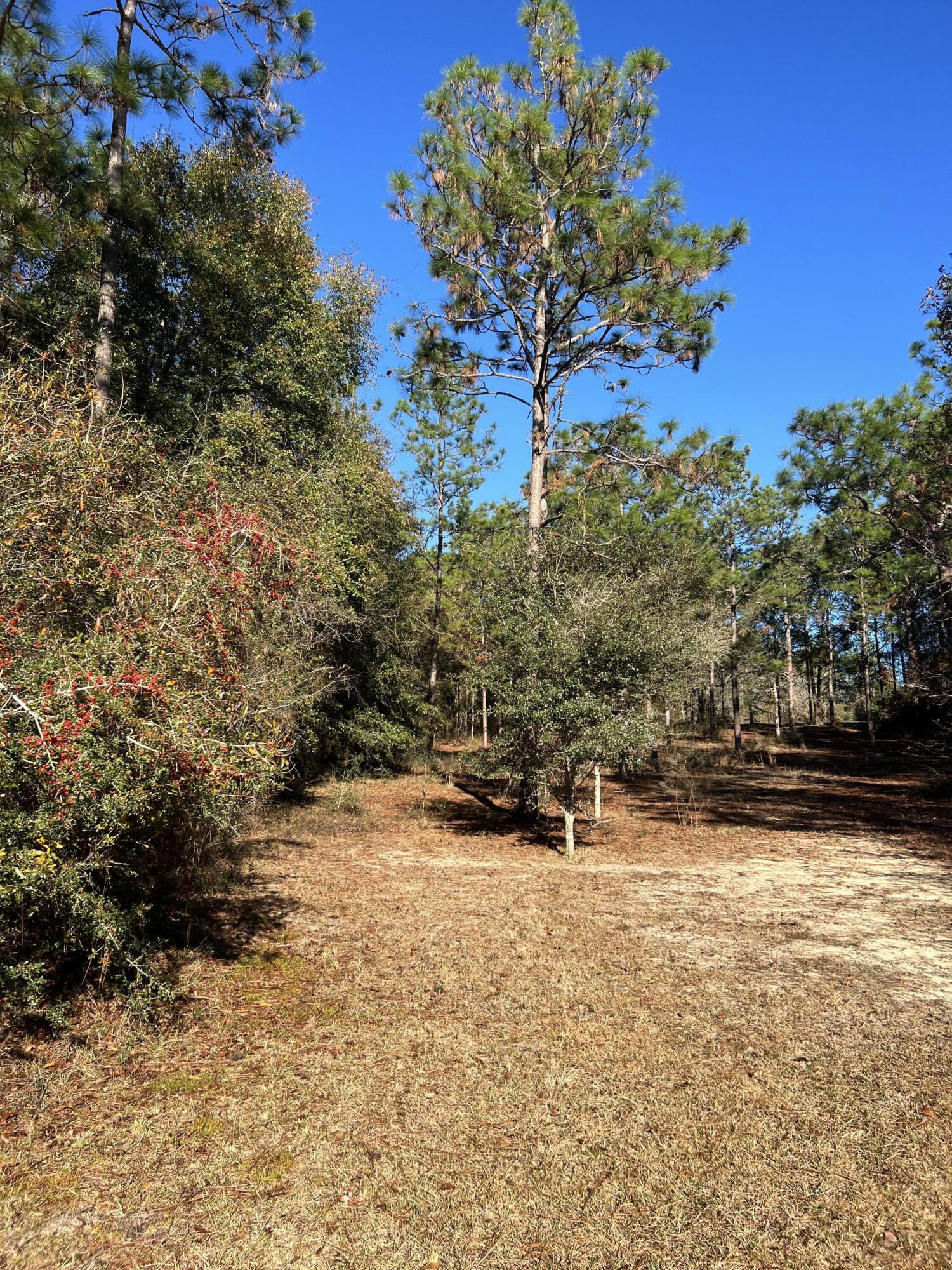 KENNEDY LAKE (UNRECORDED) - Land