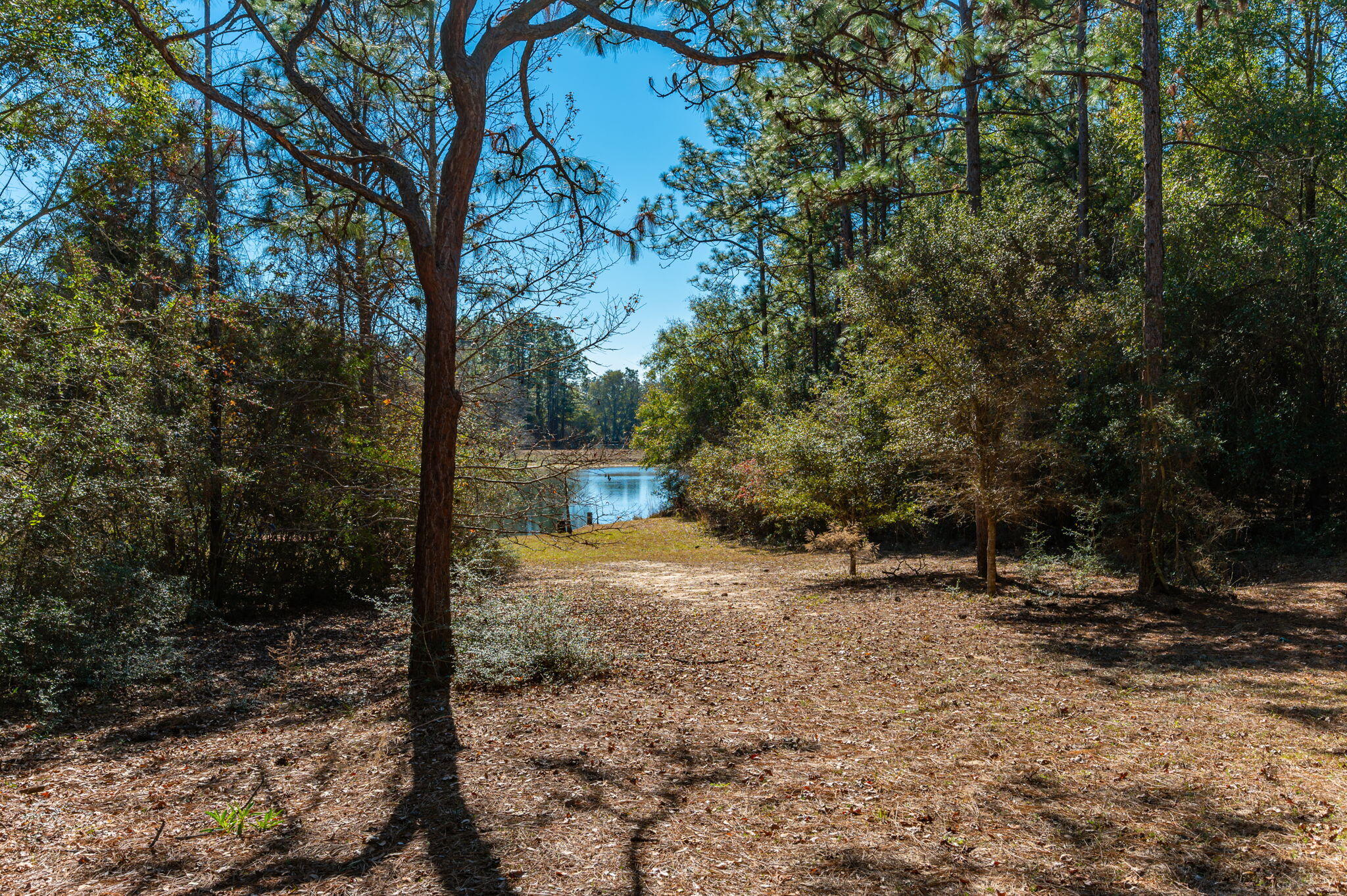 KENNEDY LAKE (UNRECORDED) - Land