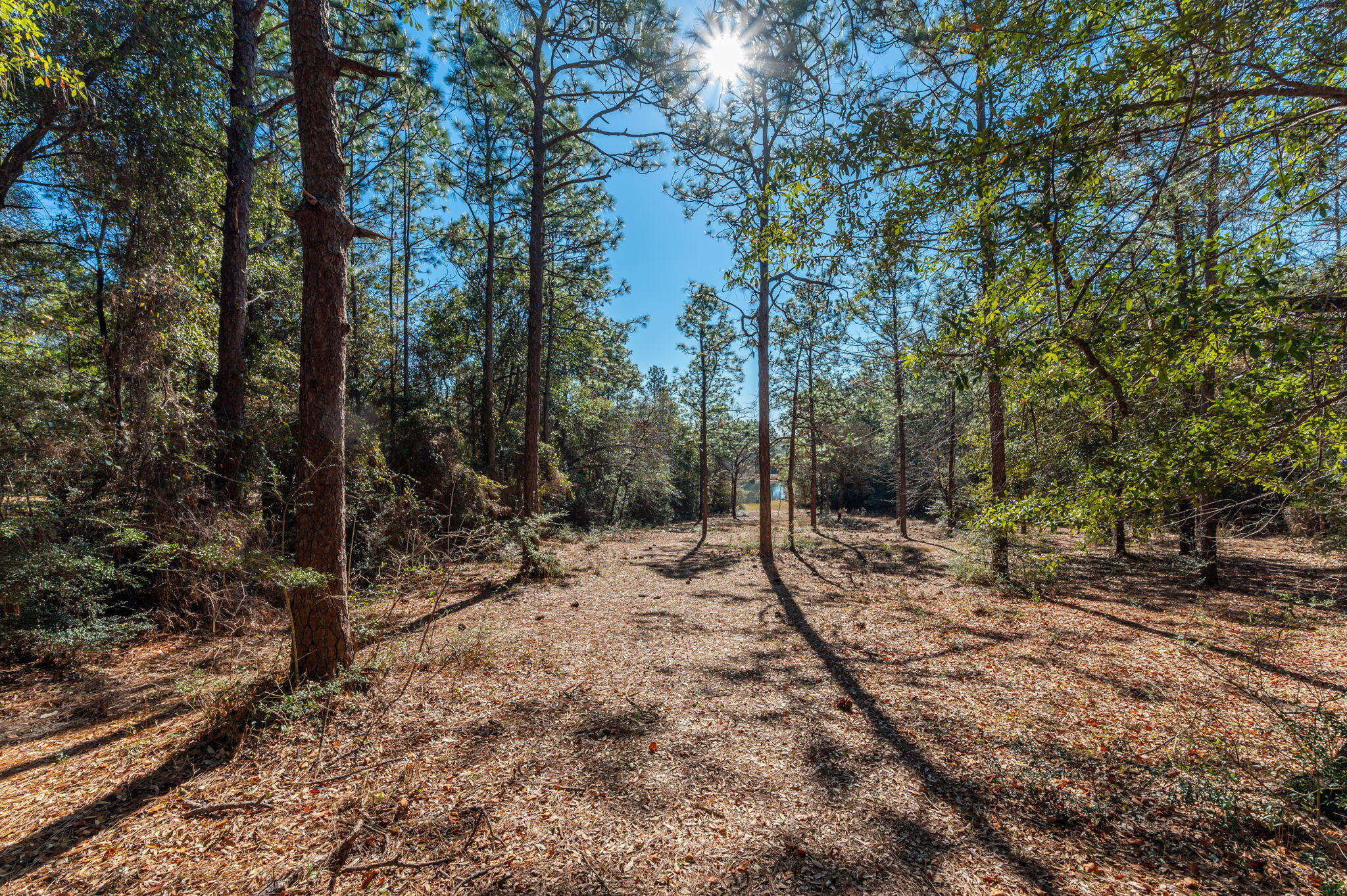 KENNEDY LAKE (UNRECORDED) - Land
