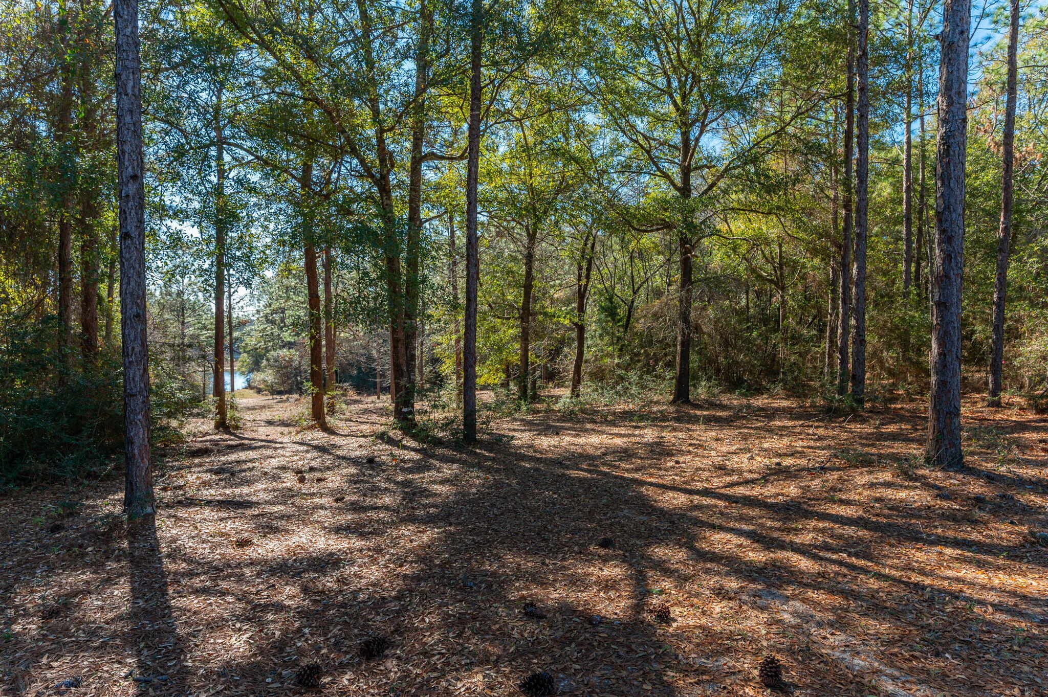 KENNEDY LAKE (UNRECORDED) - Land