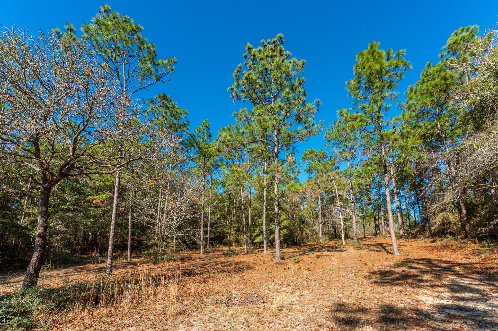 KENNEDY LAKE (UNRECORDED) - Land