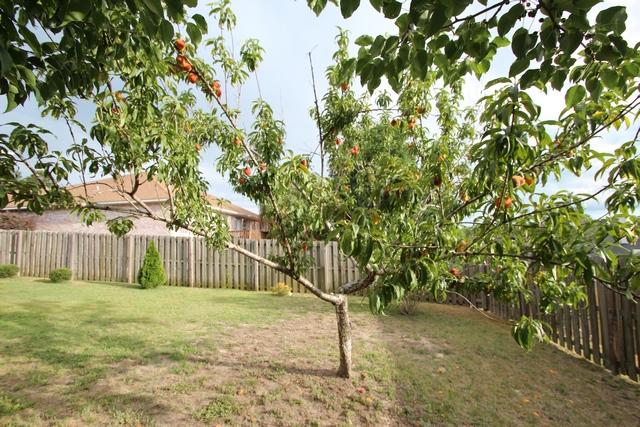 OLD BETHEL ESTATES PH 2 - Residential