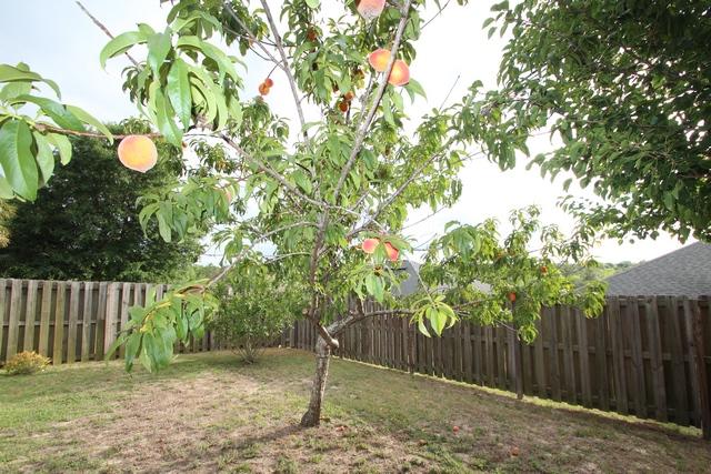 OLD BETHEL ESTATES PH 2 - Residential