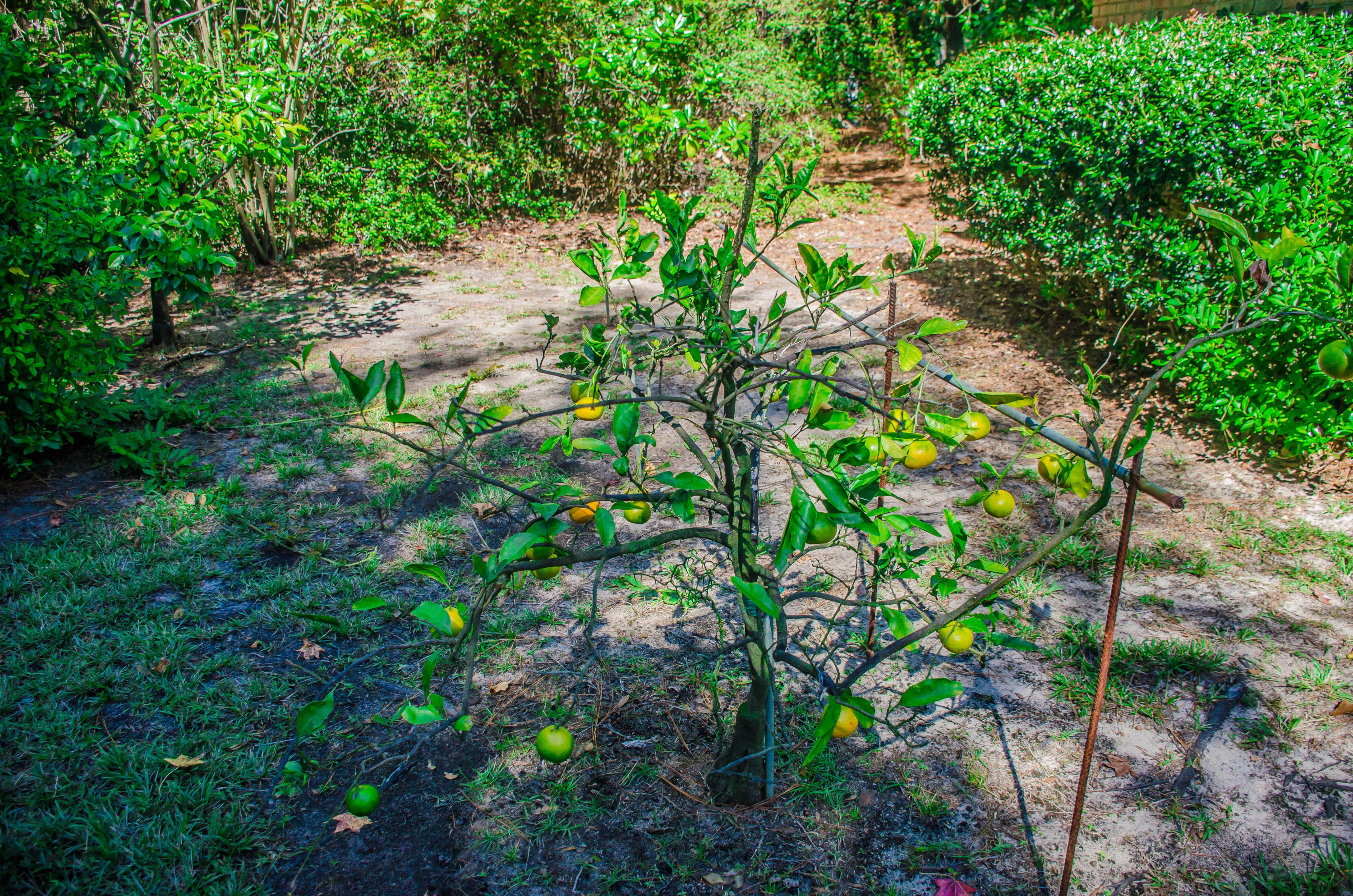 ST ANDREWS VILLAGE SOUTH 2 - Residential