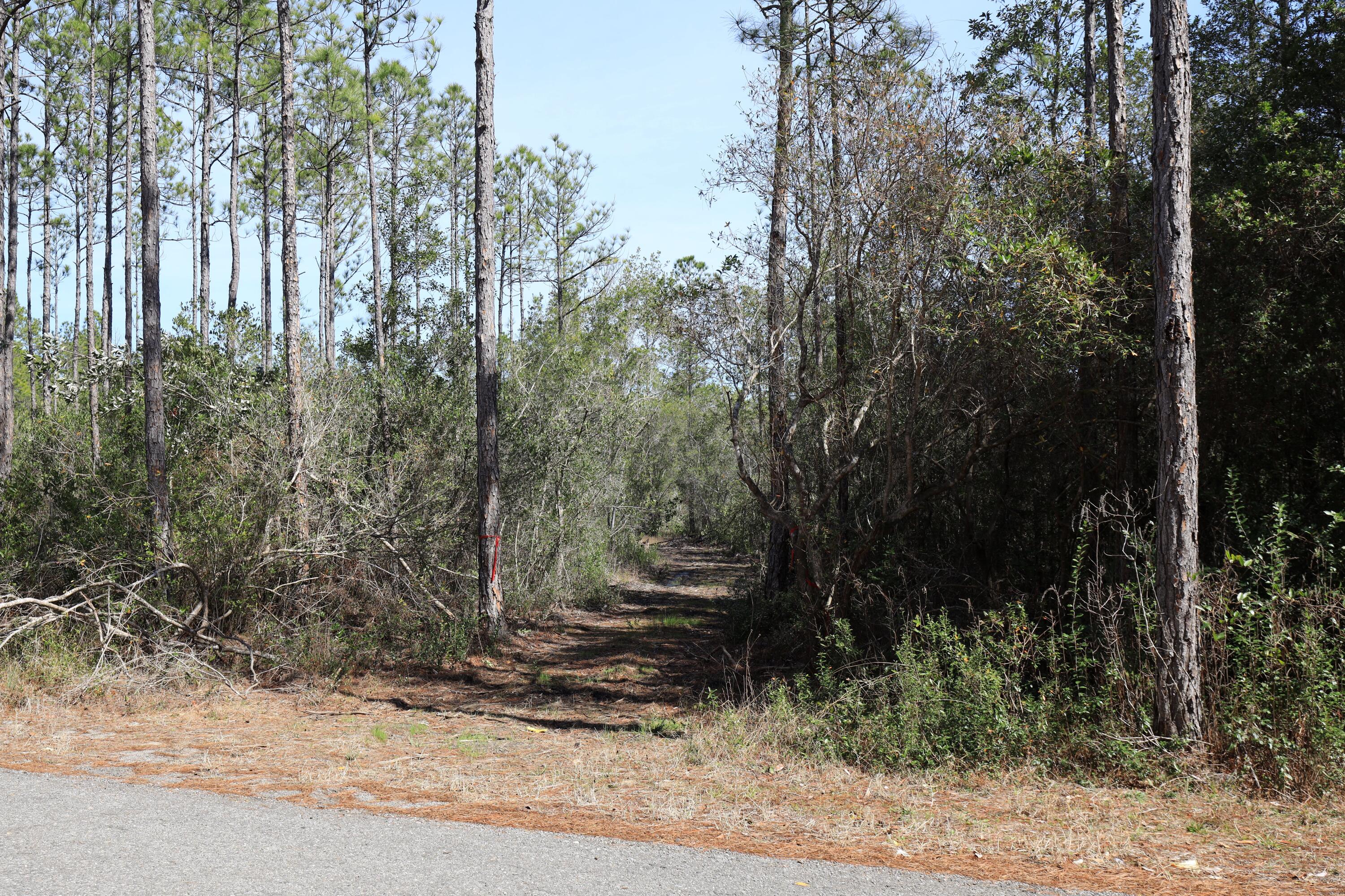 ANTIOCH ESTATES S/D - Land