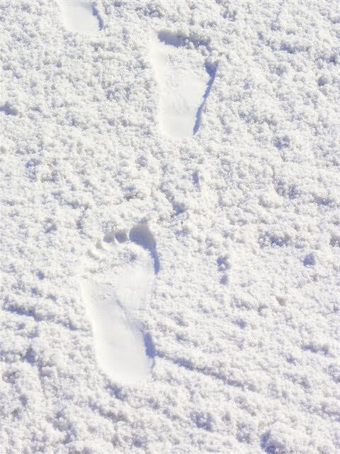 Surf Dweller Condominiums - Residential