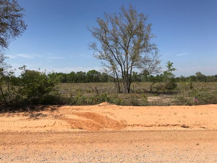 7 acres High & Dry. Cleared and ready for your new home. Room for horses and a garden. Survey available at purchase. Vernon Elementary, Vernon Middle, Vernon High, schools.