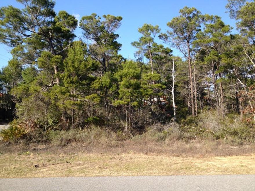 Corner lot and walking distance to the beach! This perfectly level lot has a southern facing front elevation for all day sunlight in your new home. It is large enough to build a home, carriage house and pool! Because it is a corner lot, you could build with a side or rear entrance garage. Gulfview Heights is an established neighborhood with cottage style beach homes. Enjoy the quiet peacefulness AND have easy access to the Gulfview Heights beach access with bath and picnic facilities, lifeguard and handicap ramp. Also, you have access right in the neighborhood to the Point Washington State Park and the hiking/biking and equestrian trail network leading through the park.