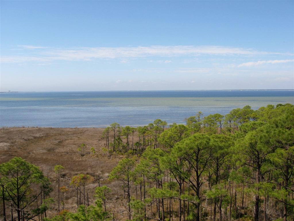 ELATION - Residential