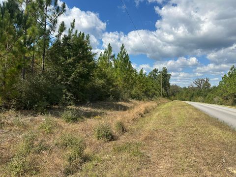Photo of Parcel A New Ebenezer Road, Laurel Hill, FL 32567 (MLS # 987797)