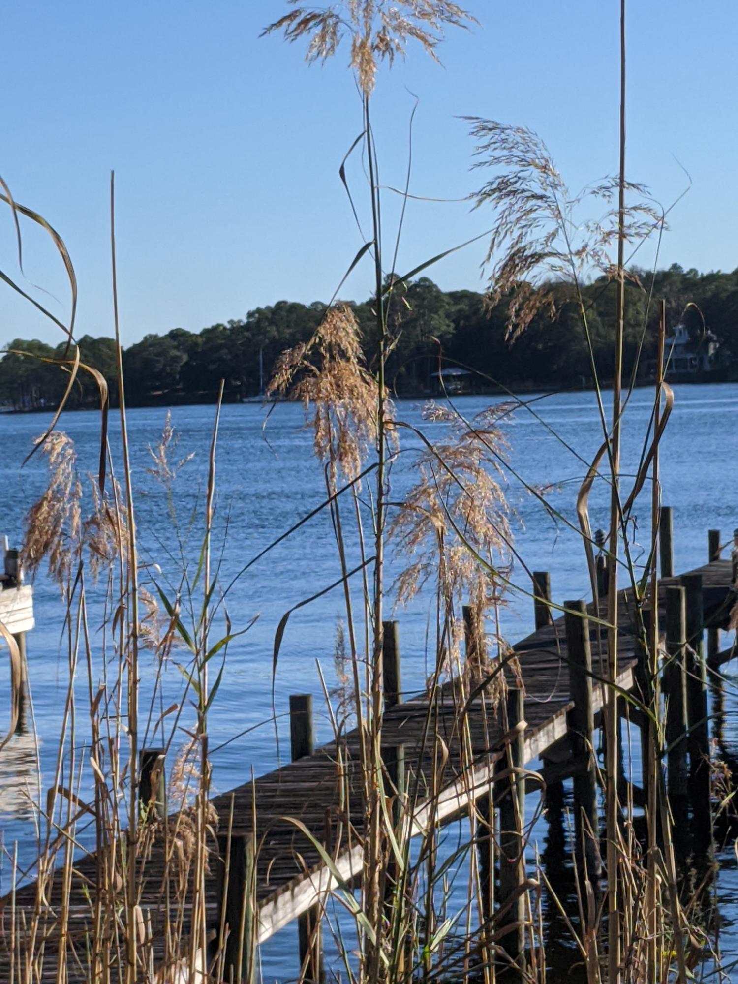 Water Oaks - Residential