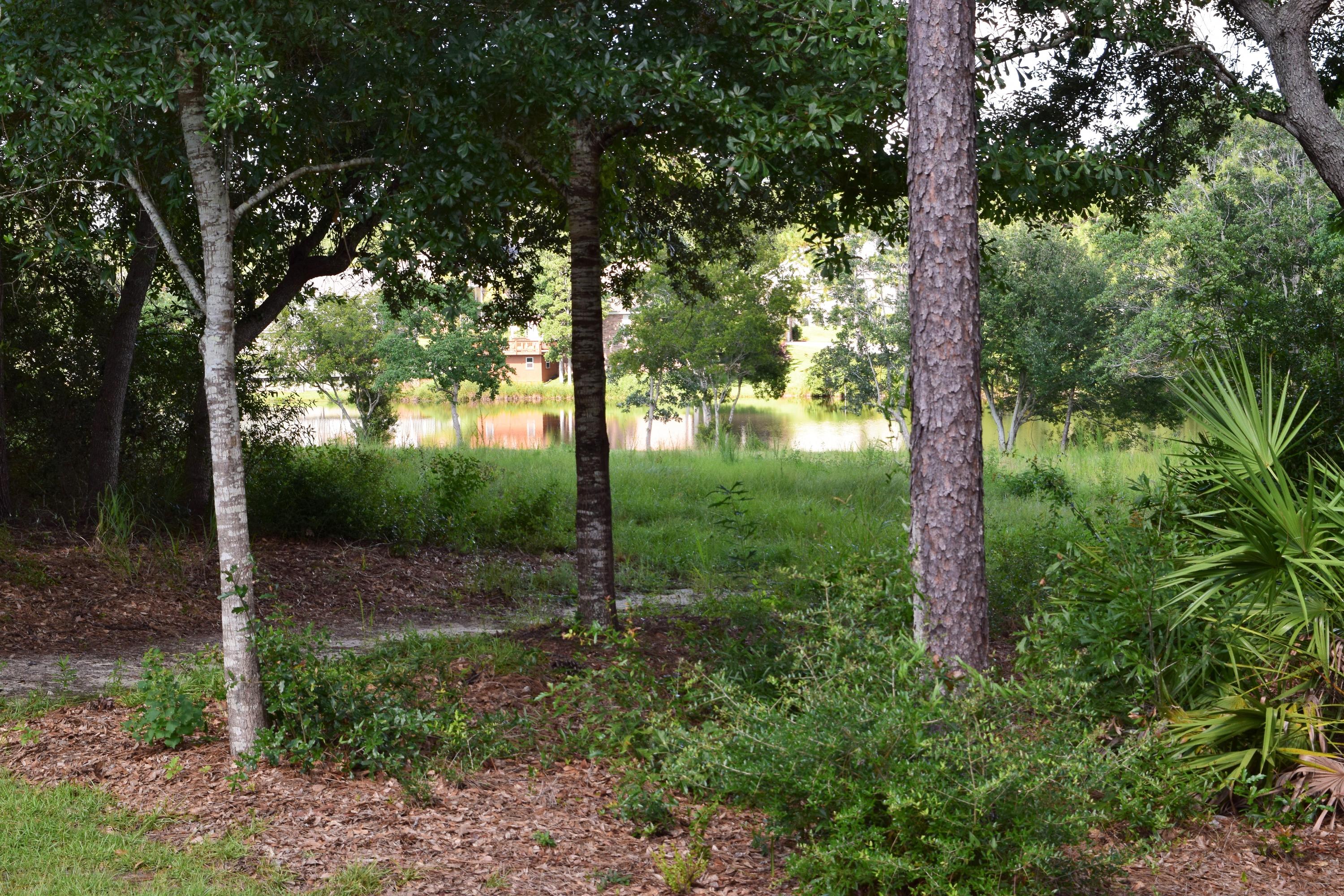 TIMBERLINE ESTATES - Residential