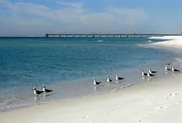 GULF ISLAND CONDOS - Residential